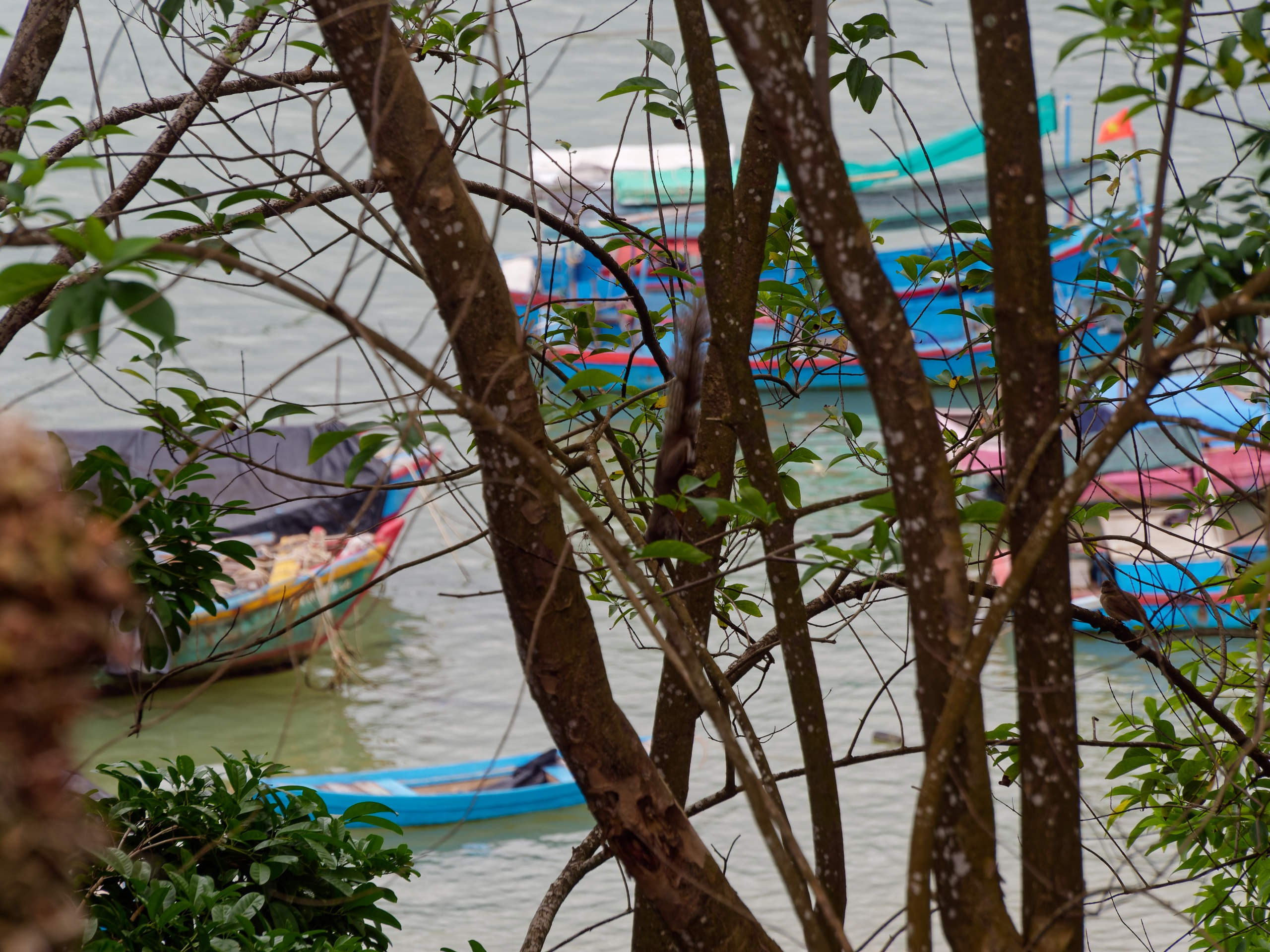 Нячанг 2025 (4). Избранные фотографии