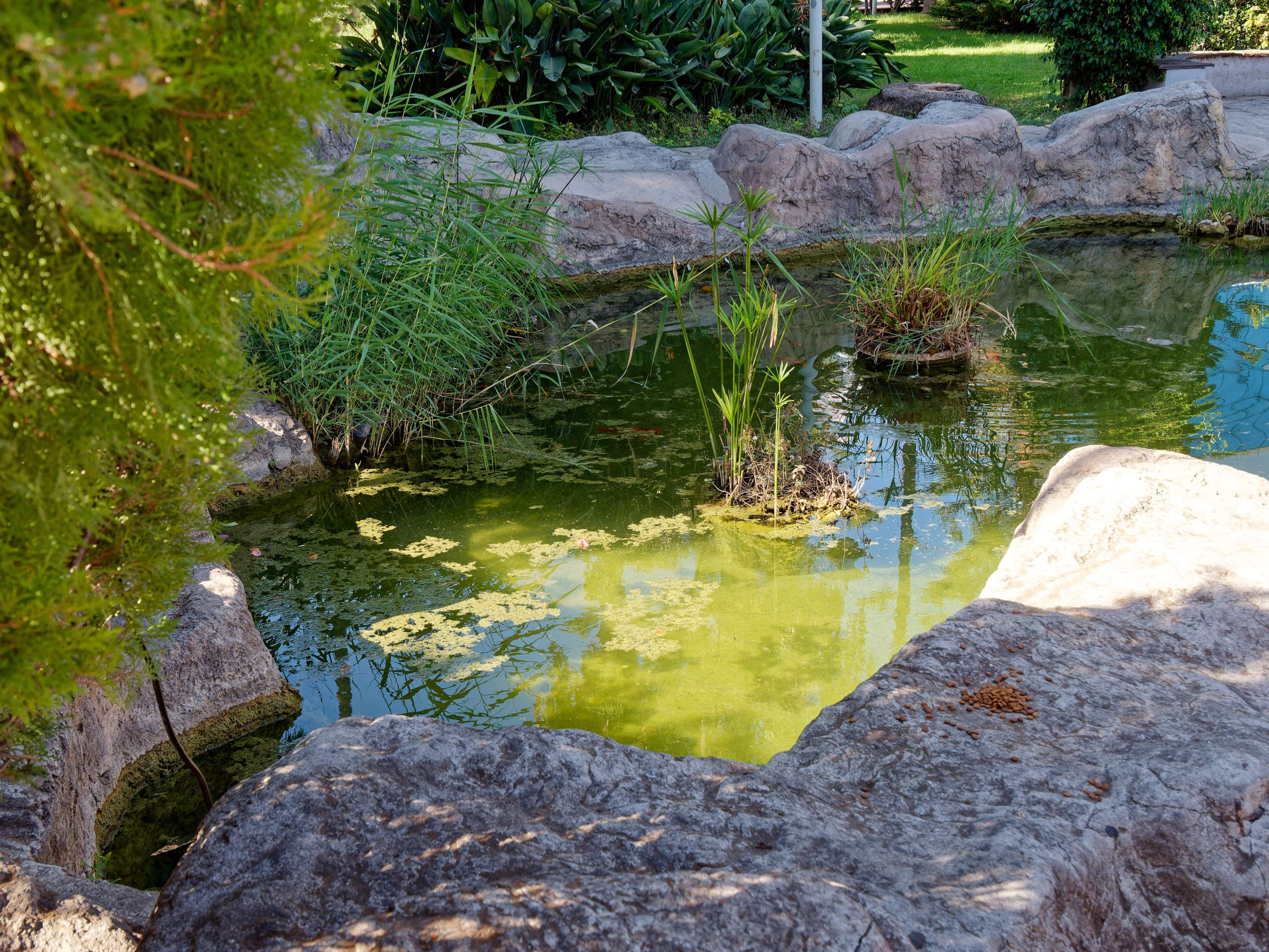 Алания 2025, город, стрит-фото. Избранные фотографии