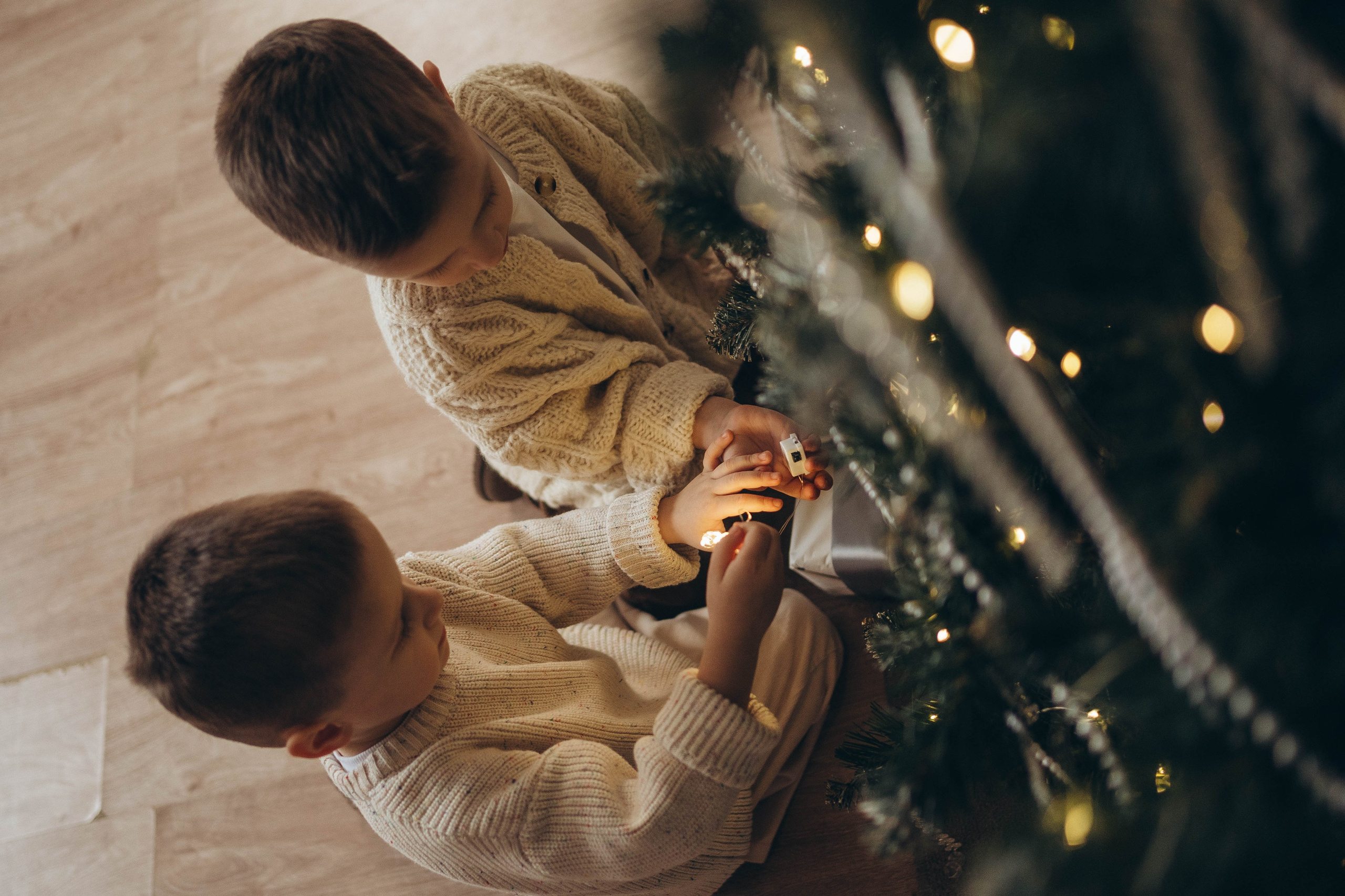 Мирон и Демид