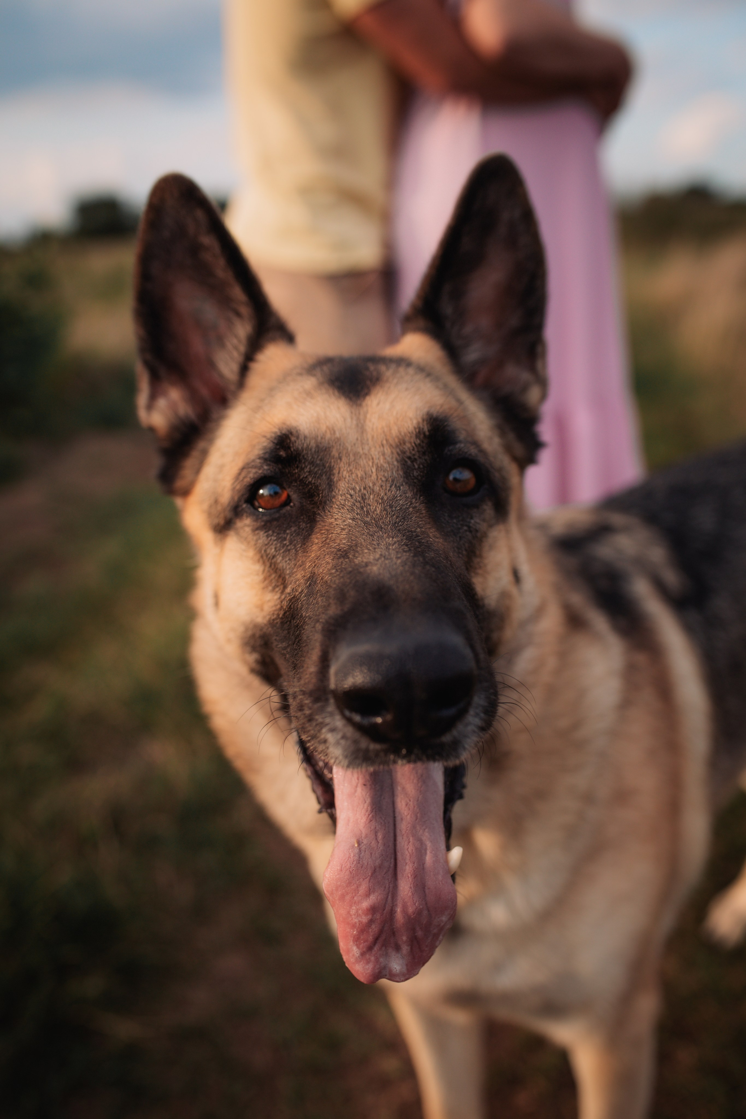 Николай, Алёна и Сэм