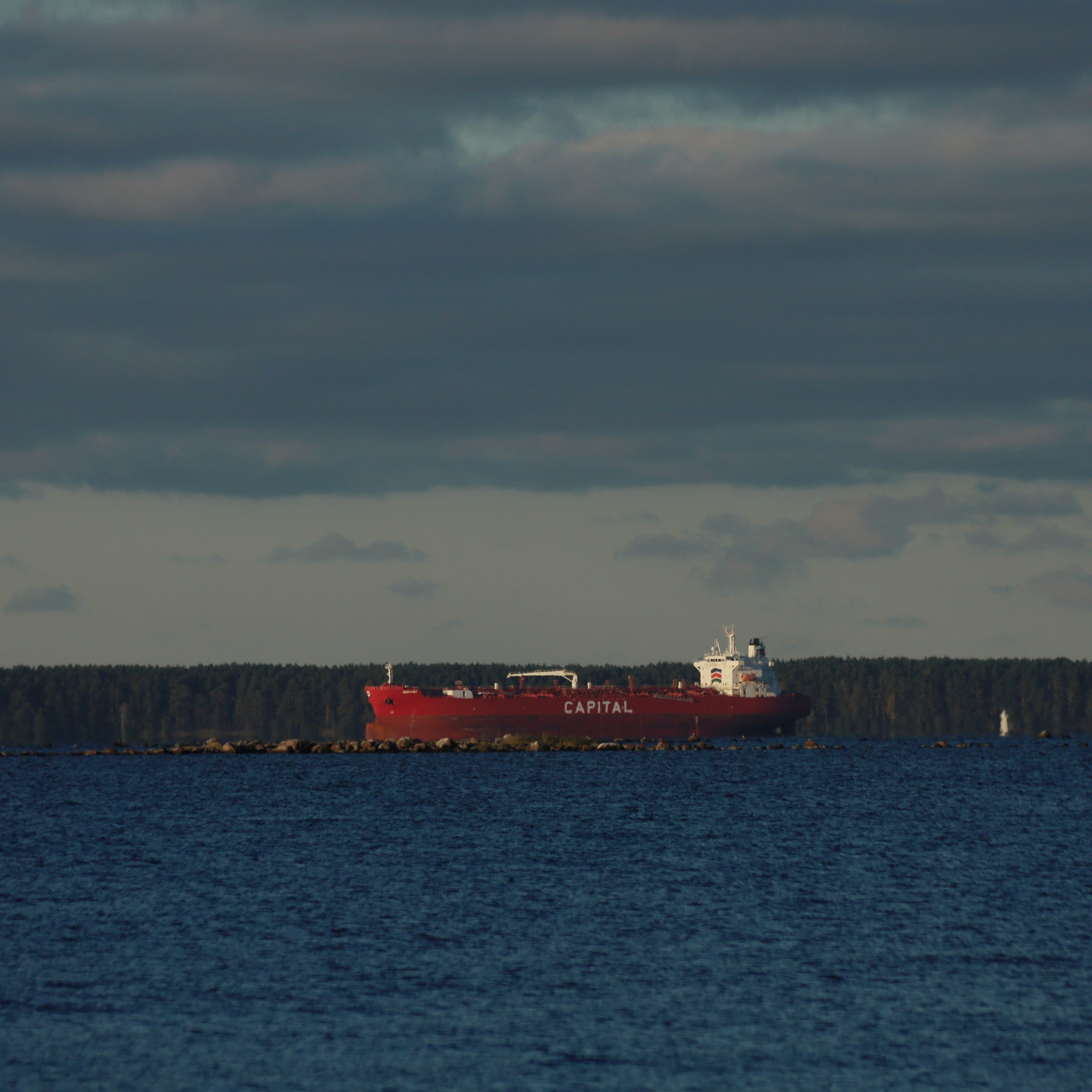 ROSENROT. СПБНЛО