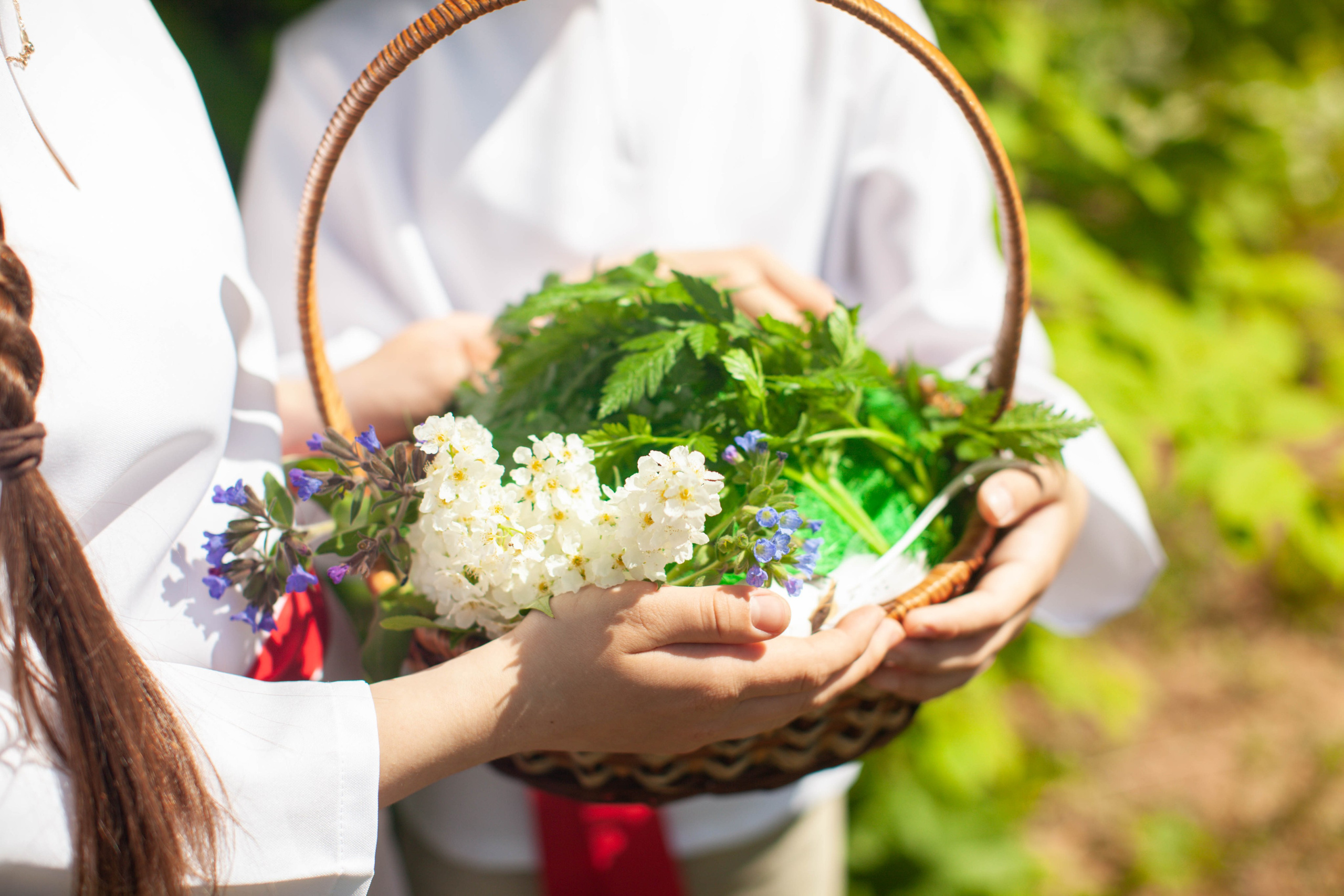 Летний день. Art my Pho