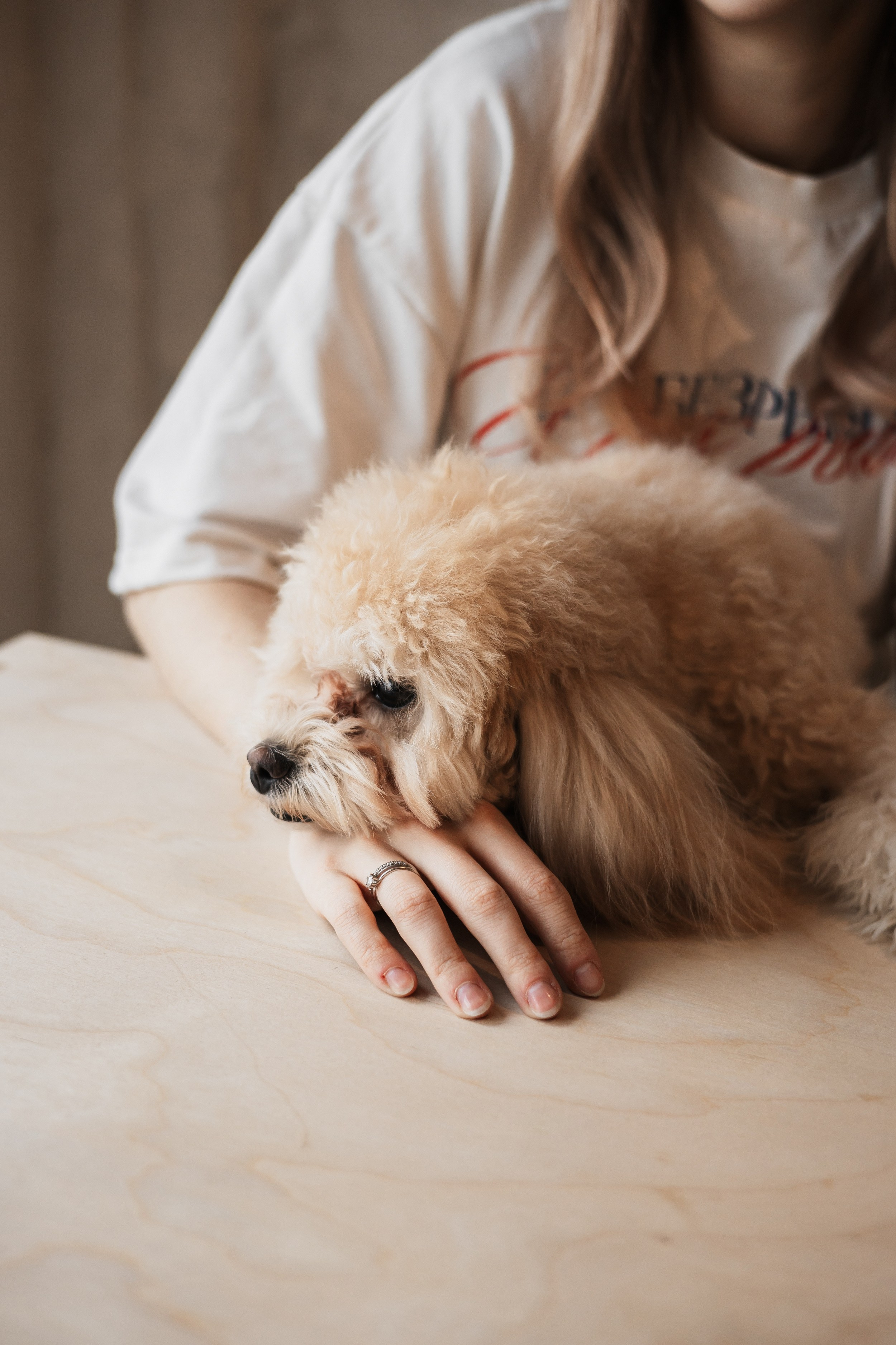 Алина — прогулка