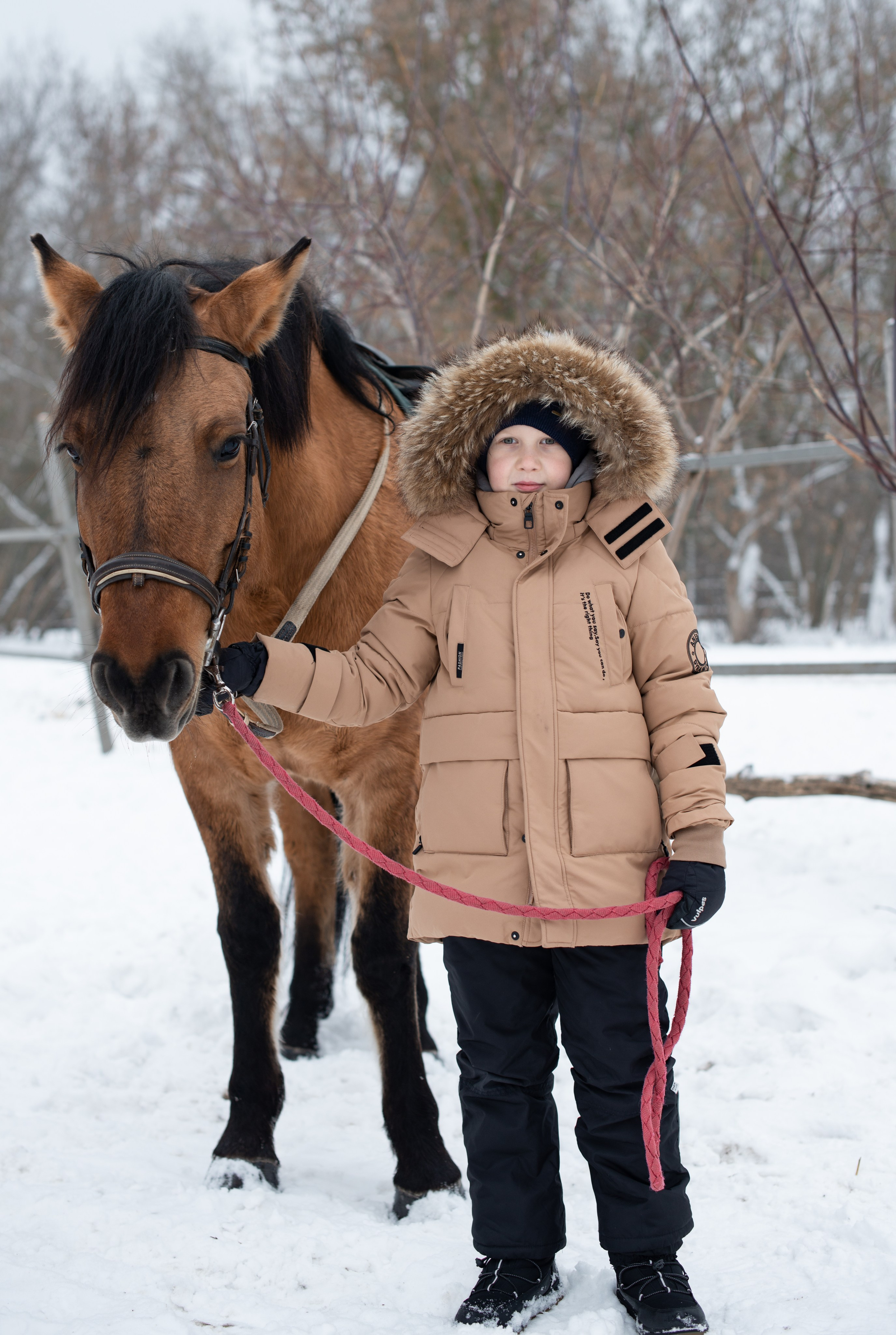 Прогулка с лошадьми. Конный фотограф в Саратове Юлия Иванова