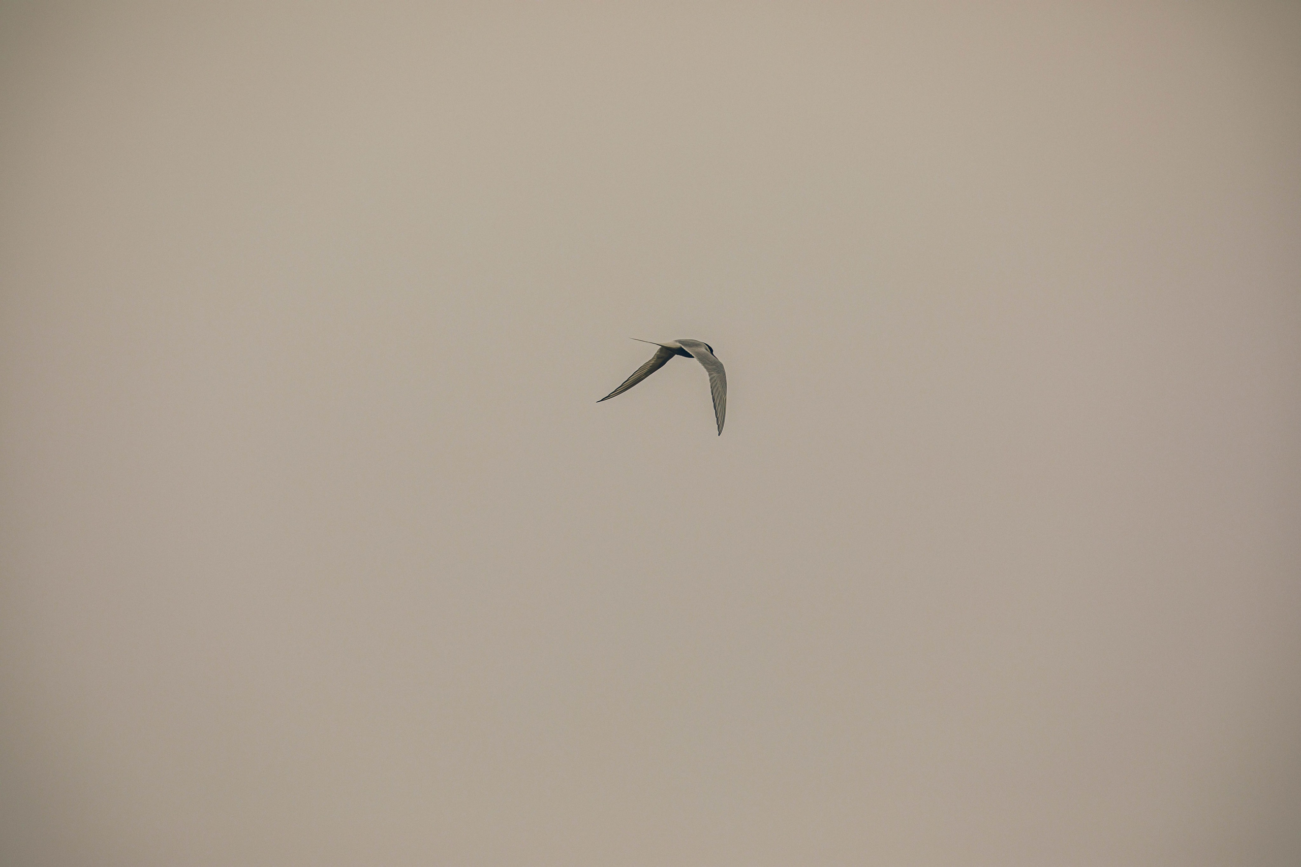 Кольский полуостров. Фотографирую для себя, своей семьи и друзей!