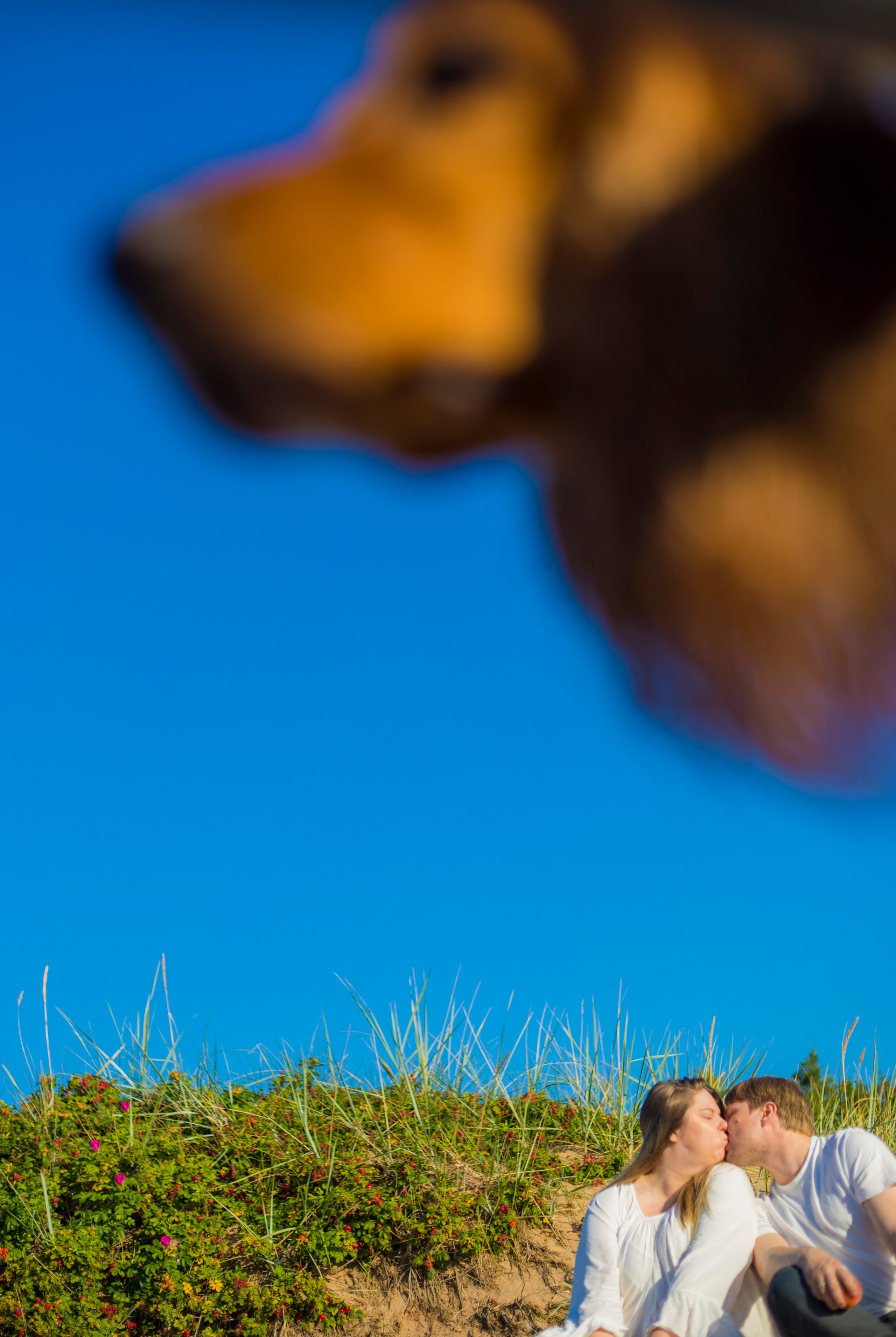 Полина и Игорь. Фотограф Александра Степанова
