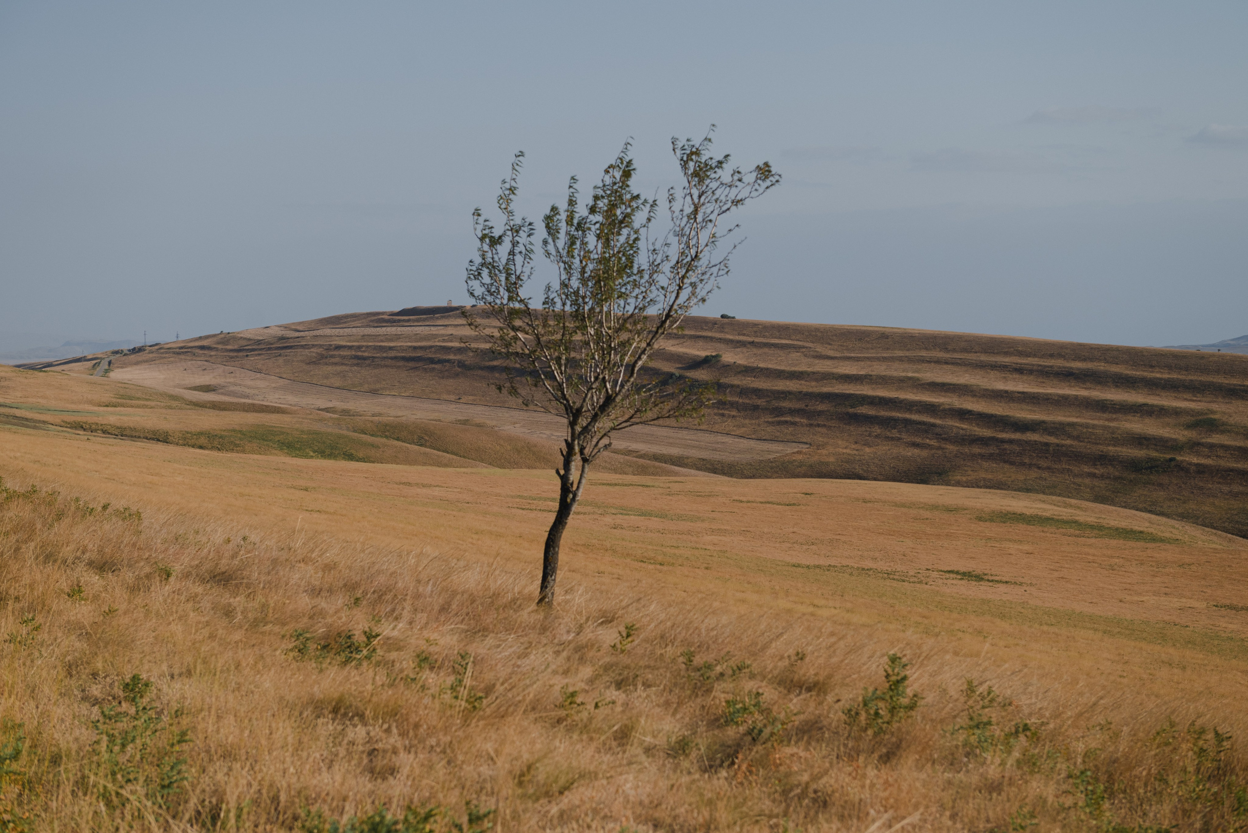 Vip personal photo tour Tbilisi. Lika Gomiashvili photography Georgia Tbilisi