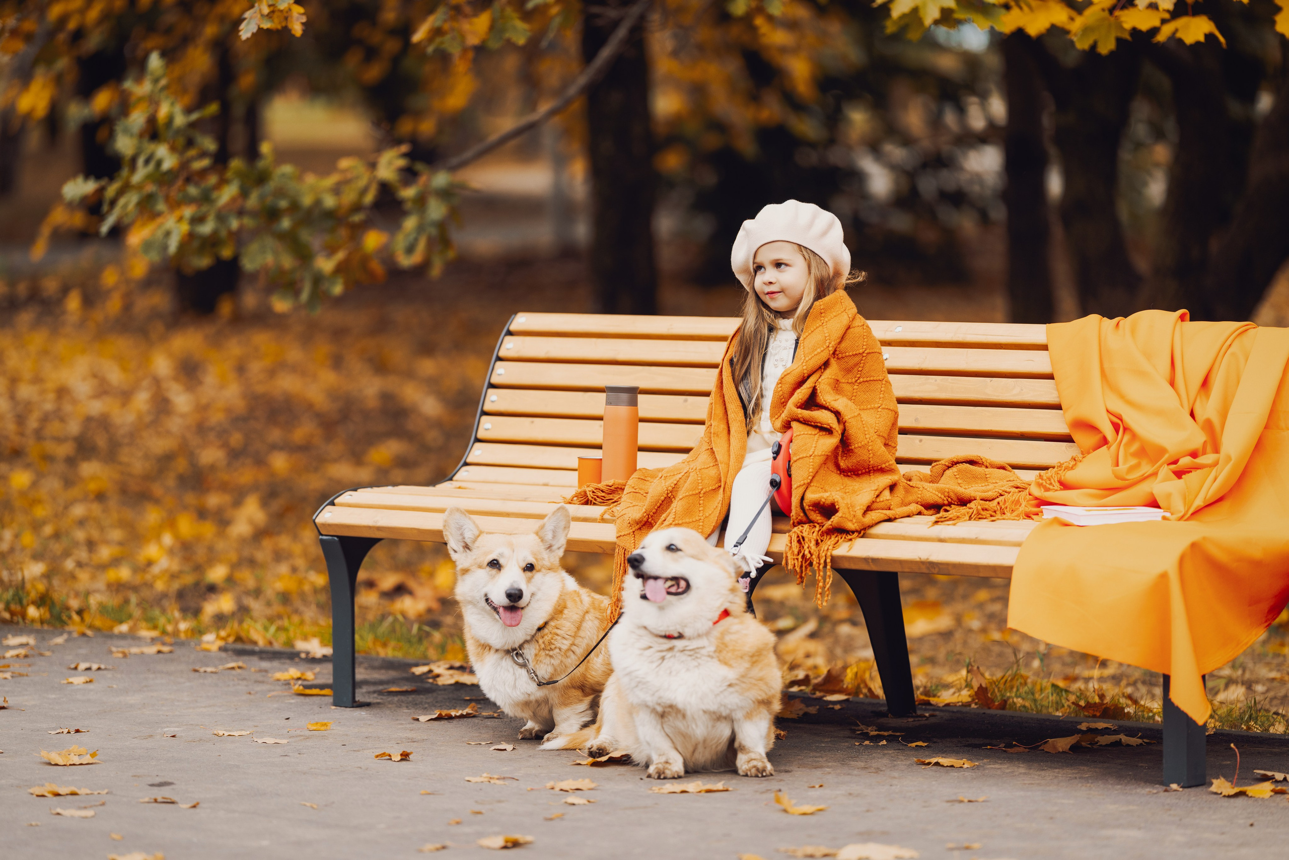 Золотая осень с корги. Свадебный и семейный фотограф в Рязани Датская Ксения