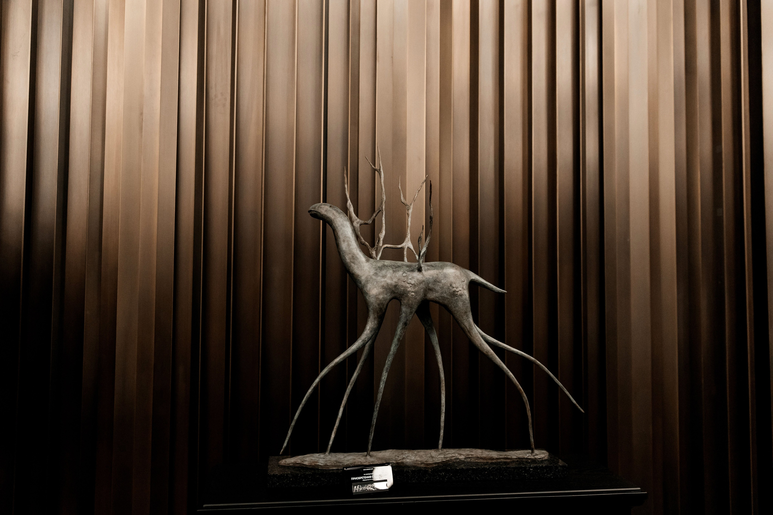 Алексей и Дарья. Свадебный и семейный фотограф в Севастополе и Крыму Анастасия Сураева