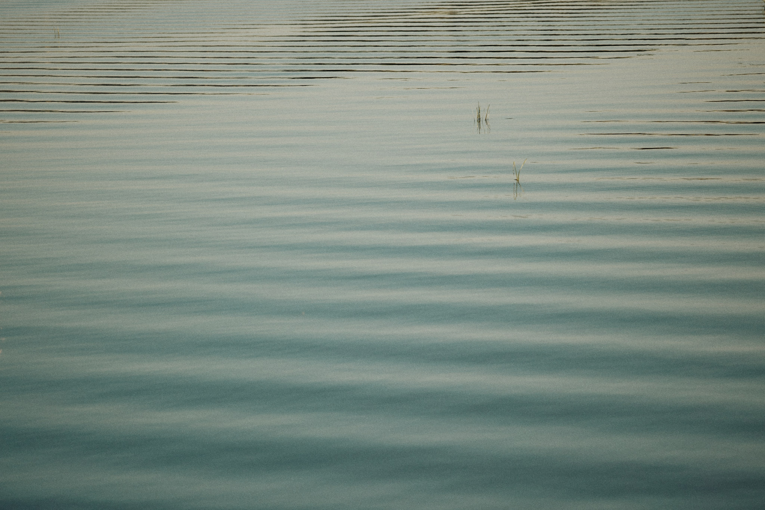 THE GRAND BUDAPEST. Дмитрий Мазуркевич: Профессиональный Репортажный Фотограф