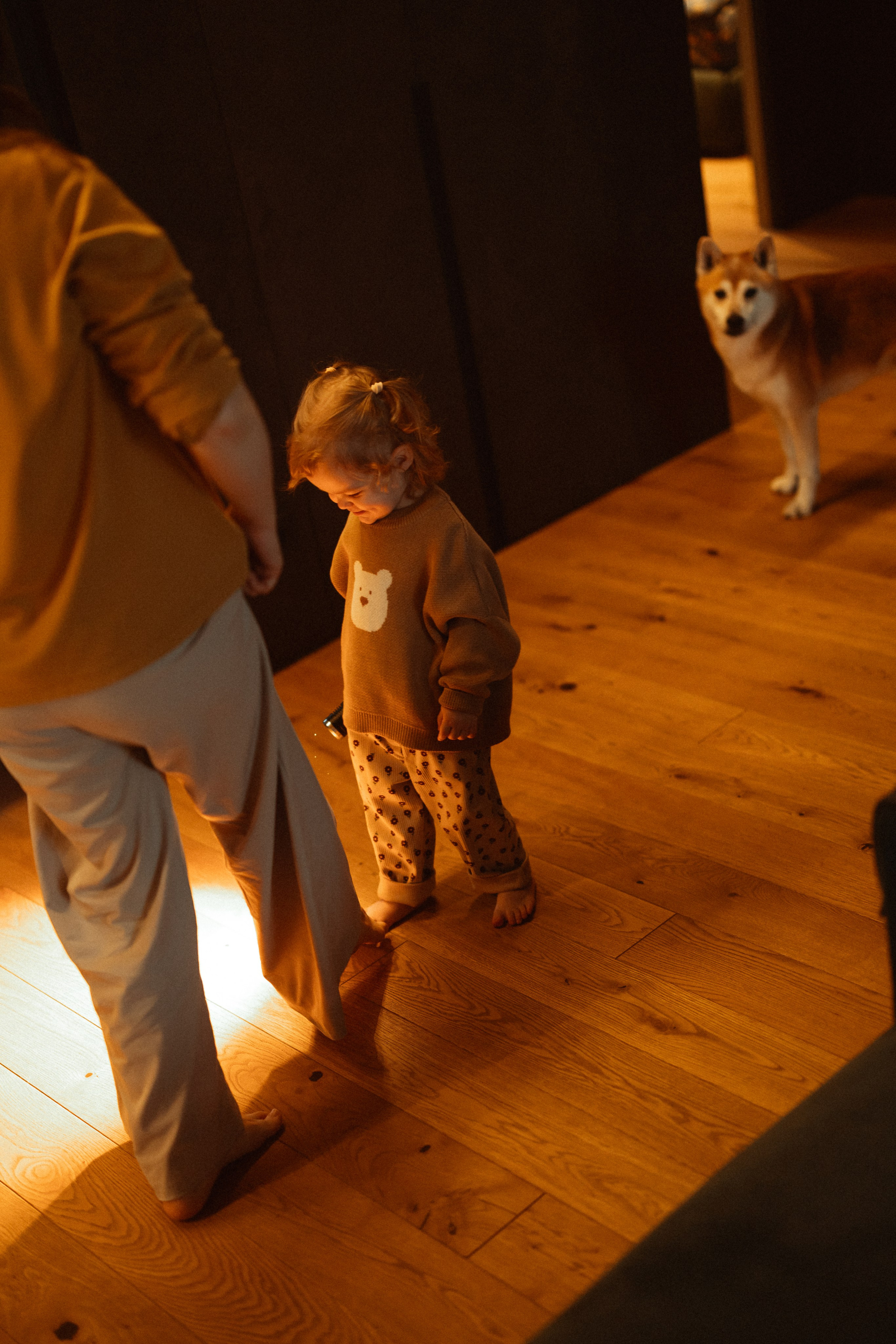 Новогодний переполох. Евгения Пелипас