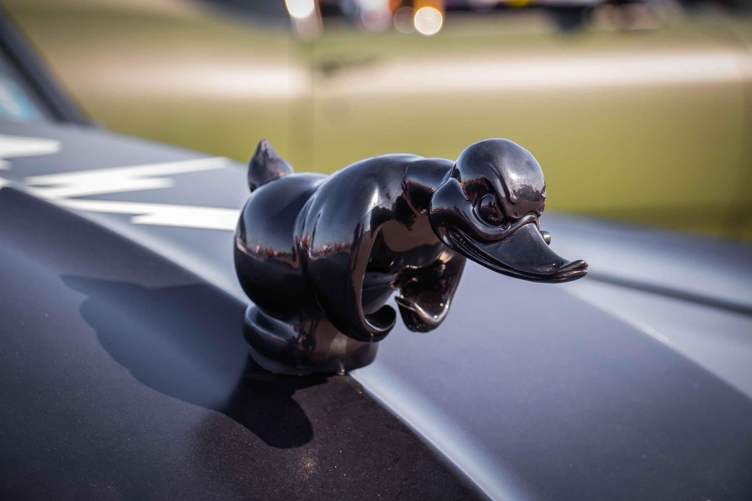 Большие гонки 2019. Александр Попов