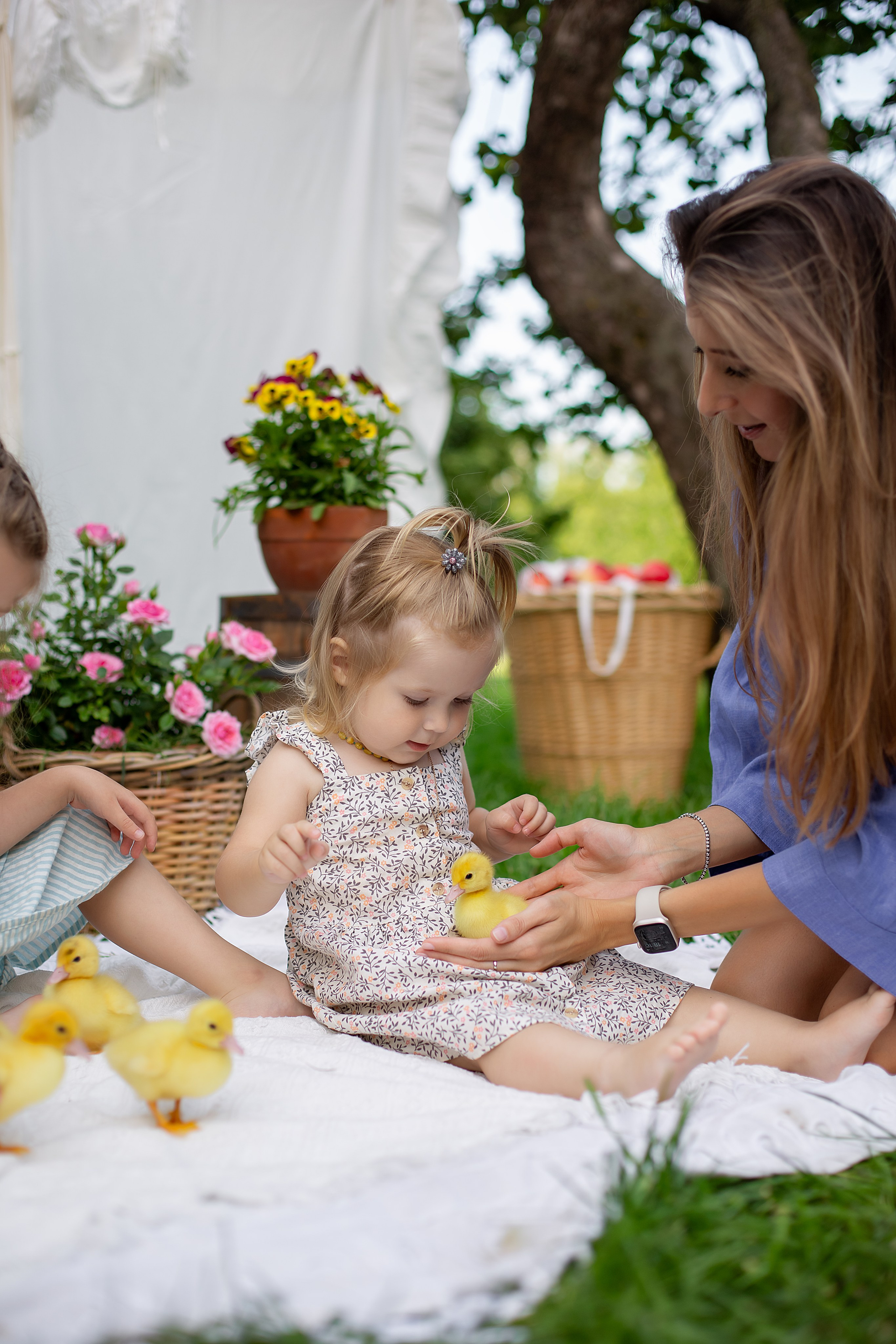 Семейная фотосессия. Фотограф Анастасия, СПб: живые семейные и женские фотосессии без позирования, наполненные эмоциями