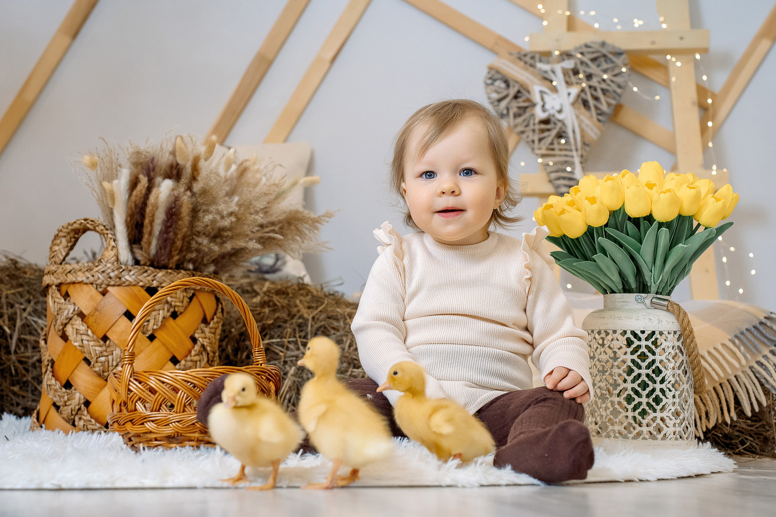 Утята. Фотограф Казакова Анастасия