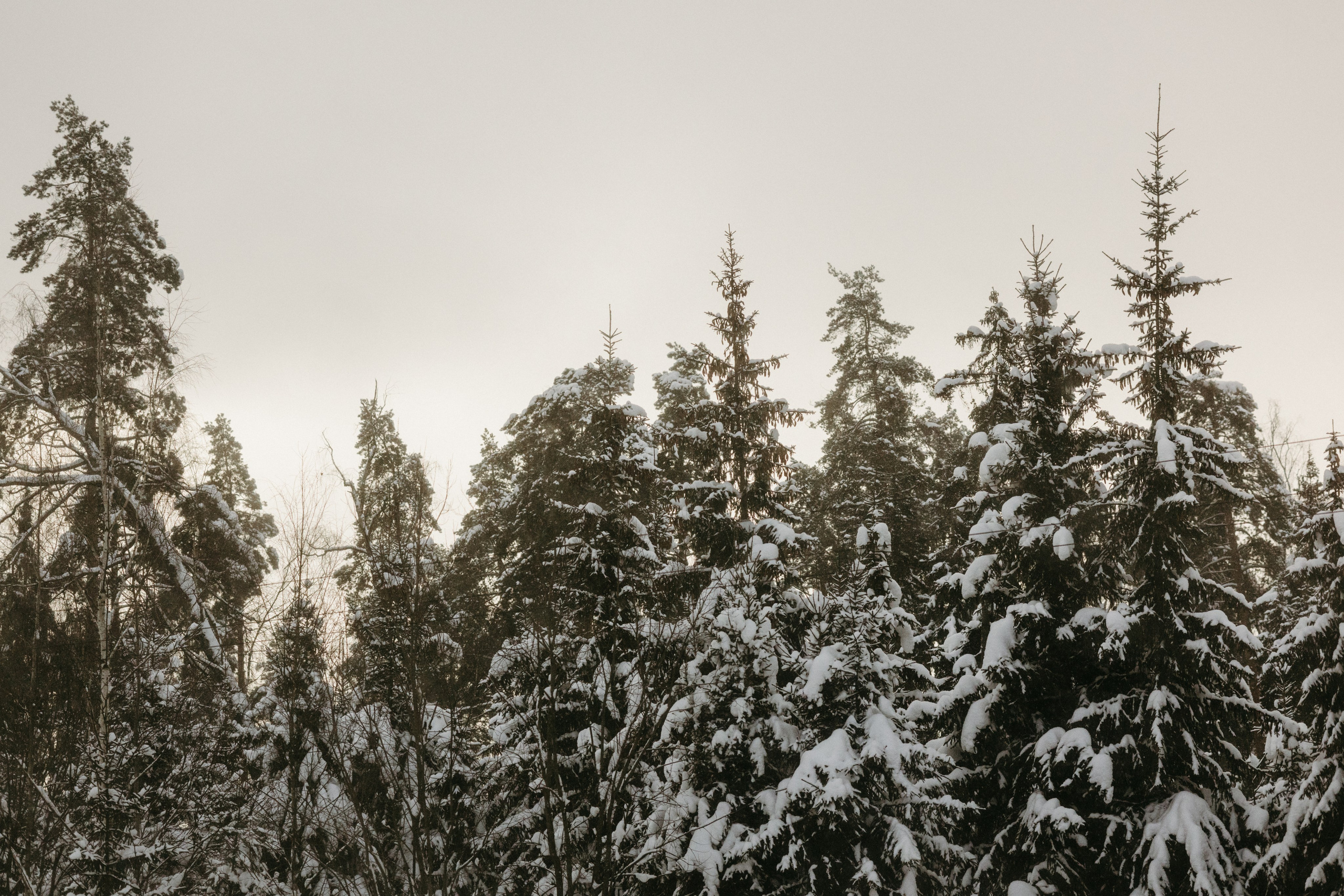 Виды из поезда. Фотограф Эльмира Лин