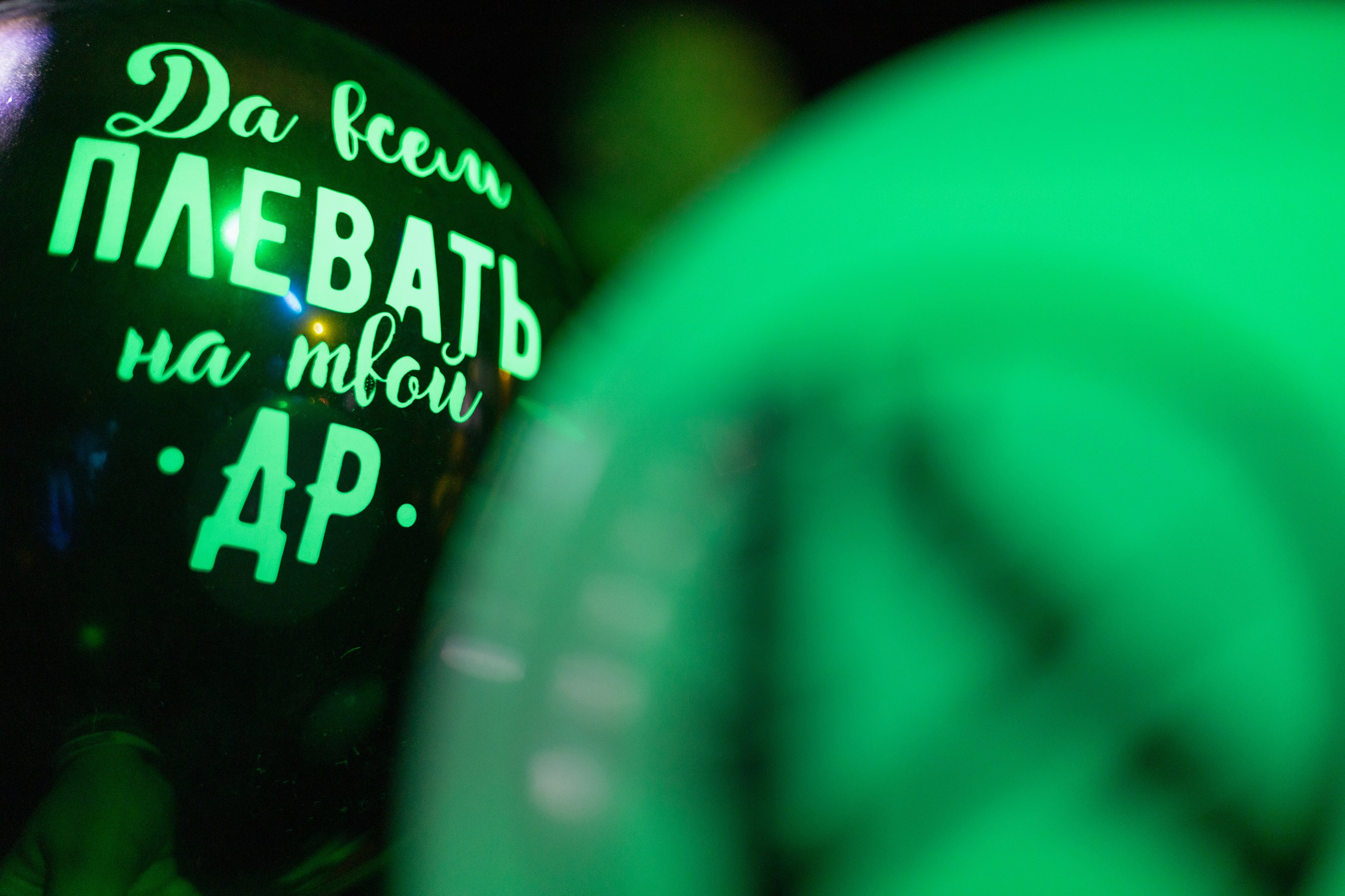 Анимация (17.05.2024). Toxasnip Photo | Anton Maslenkin