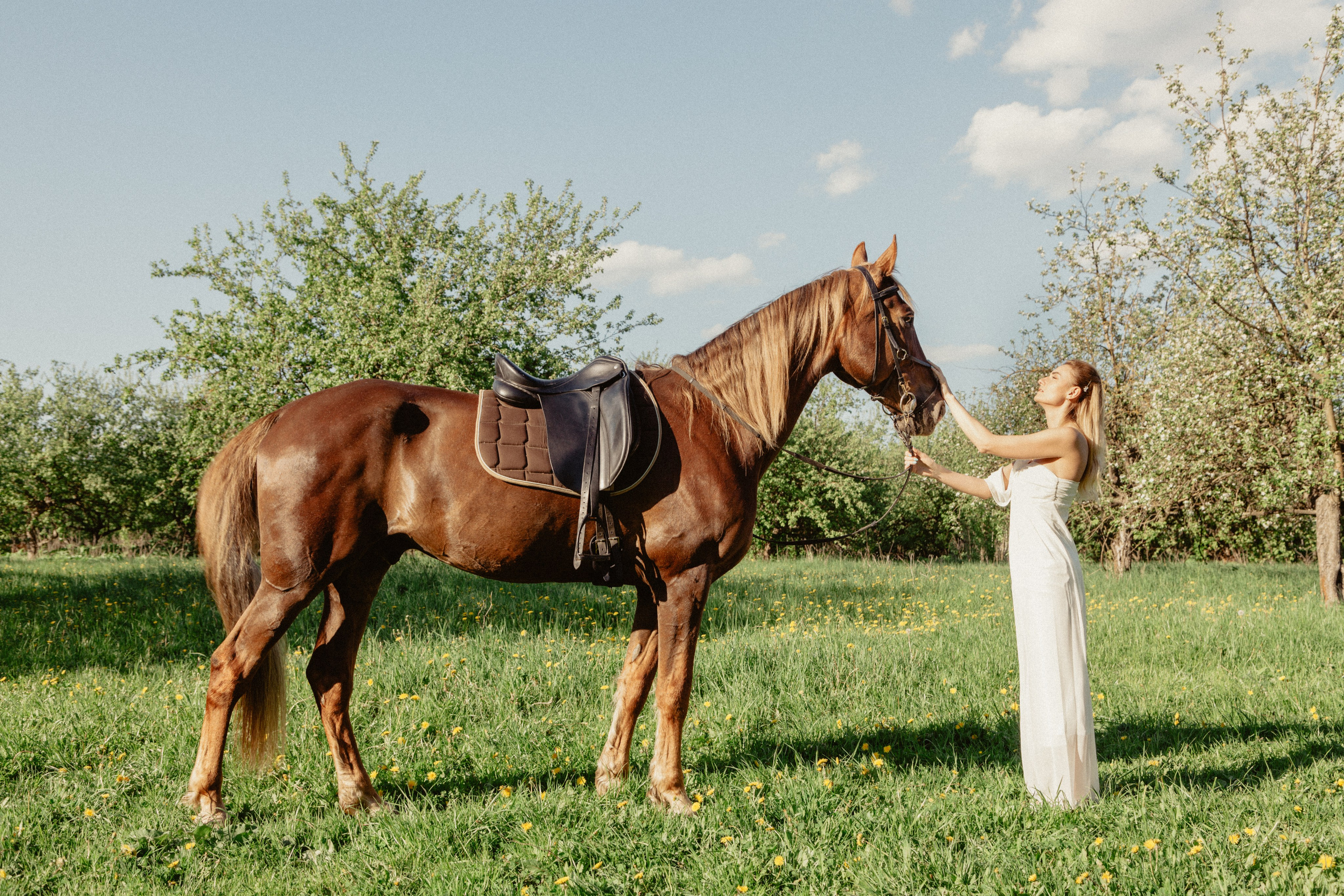 Света. Алексей Никифоров свадебный и семейный фотограф Москва, Химки