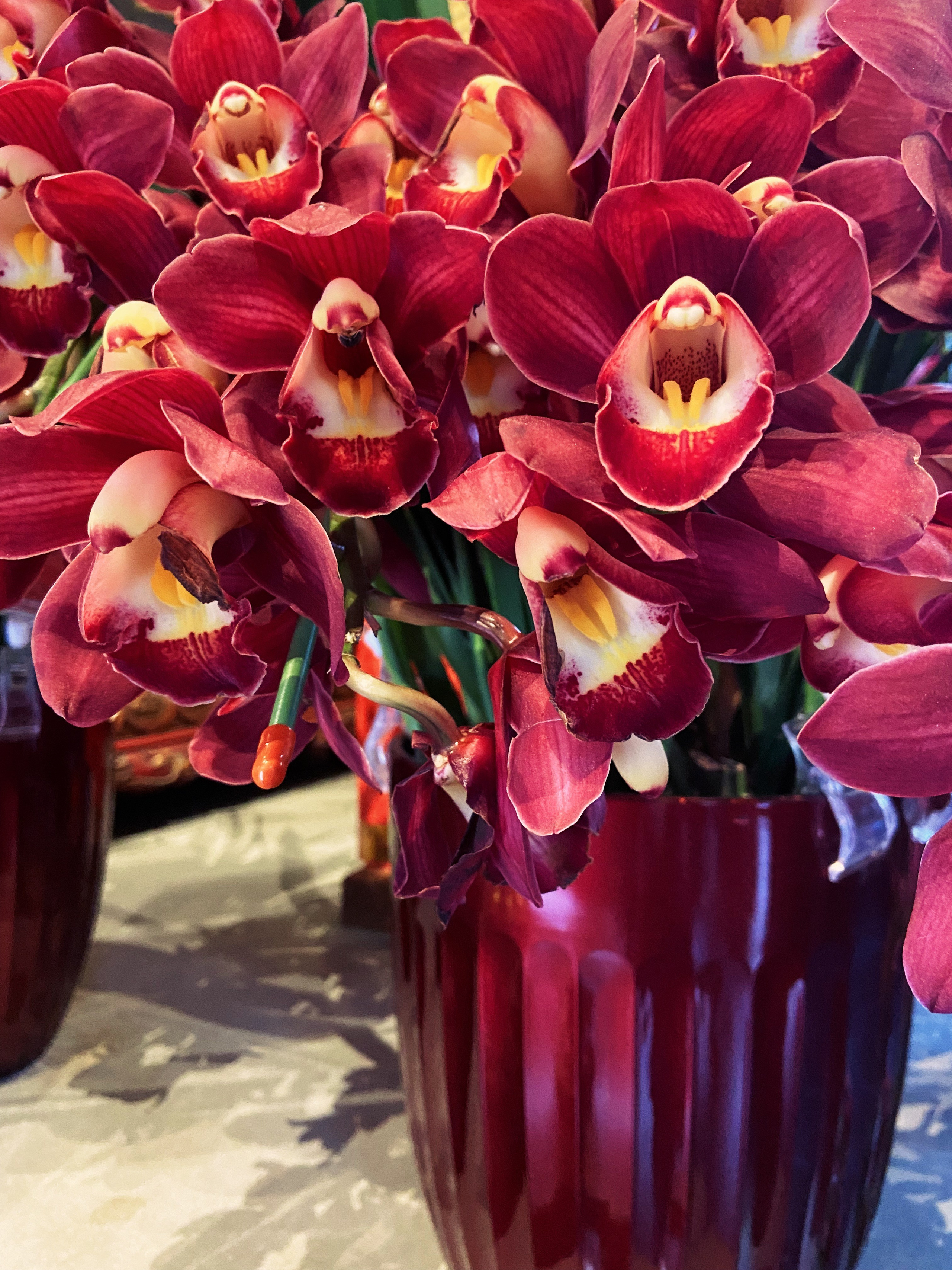 Китай'25: Пекин-Сиань-Шанхай. Фотограф-портретист в Москве