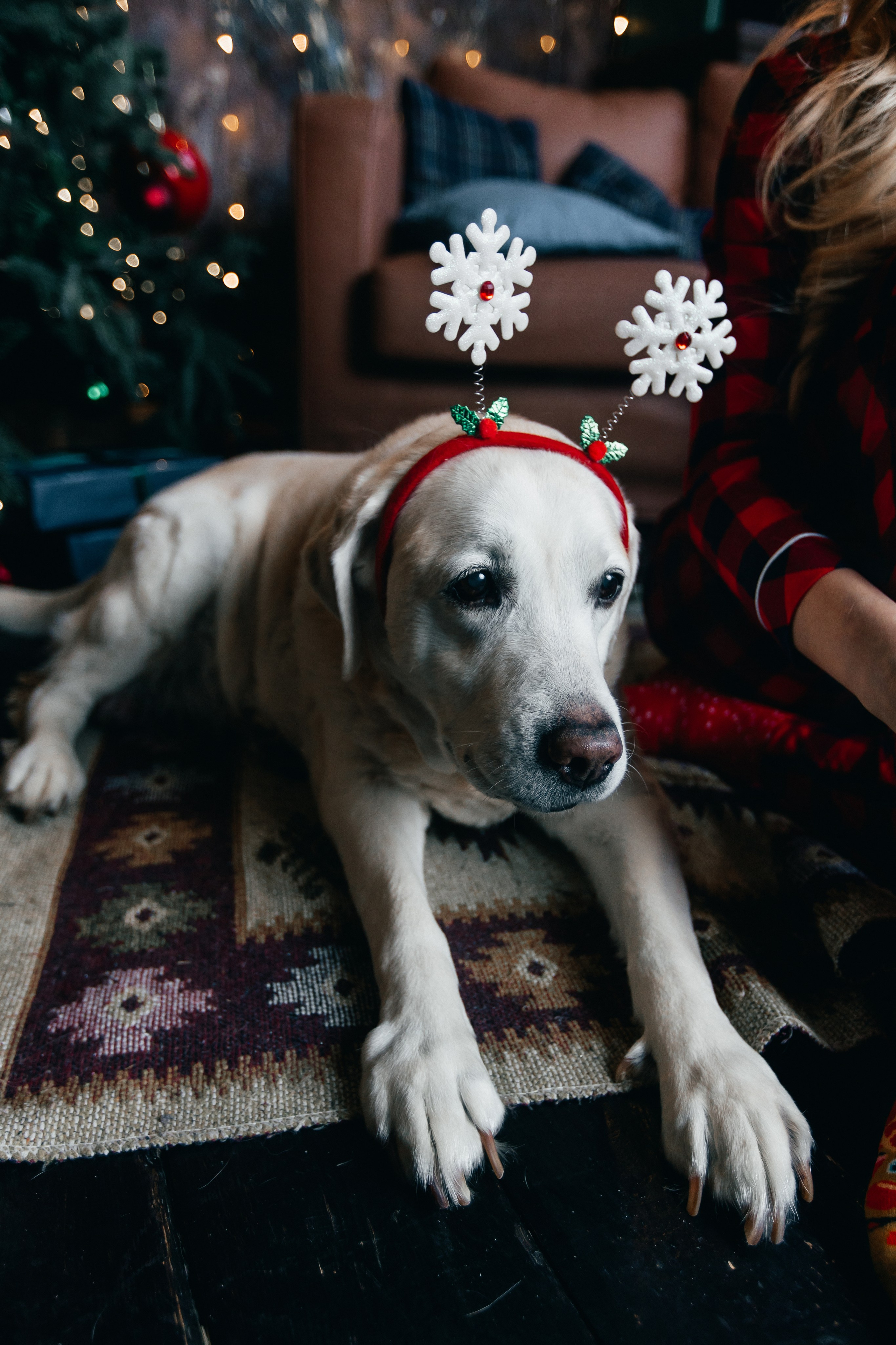 Новогодние фотопроекты. Свадебный и семейный фотограф в Нижнем Новгороде и Москве Сергей Полян
