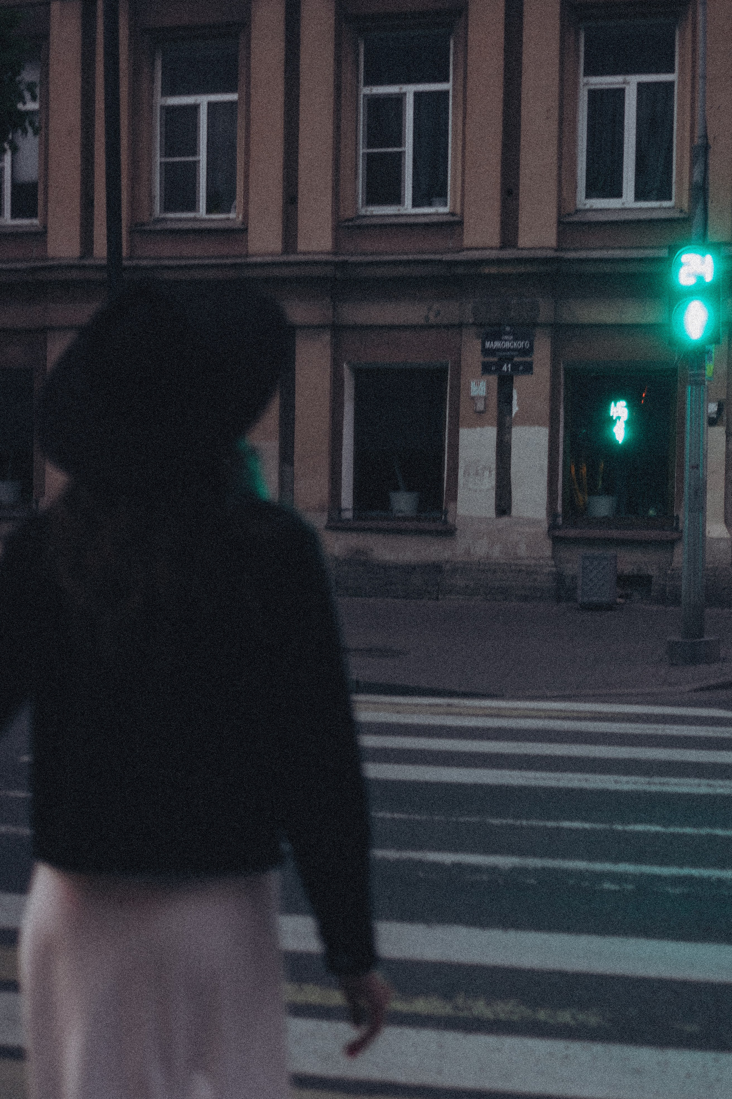 ПРОГУЛКА ПО НОЧНОМУ ГОРОДУ. Профессиональный фотограф, Санкт-Петербург — Виктория Богомолова