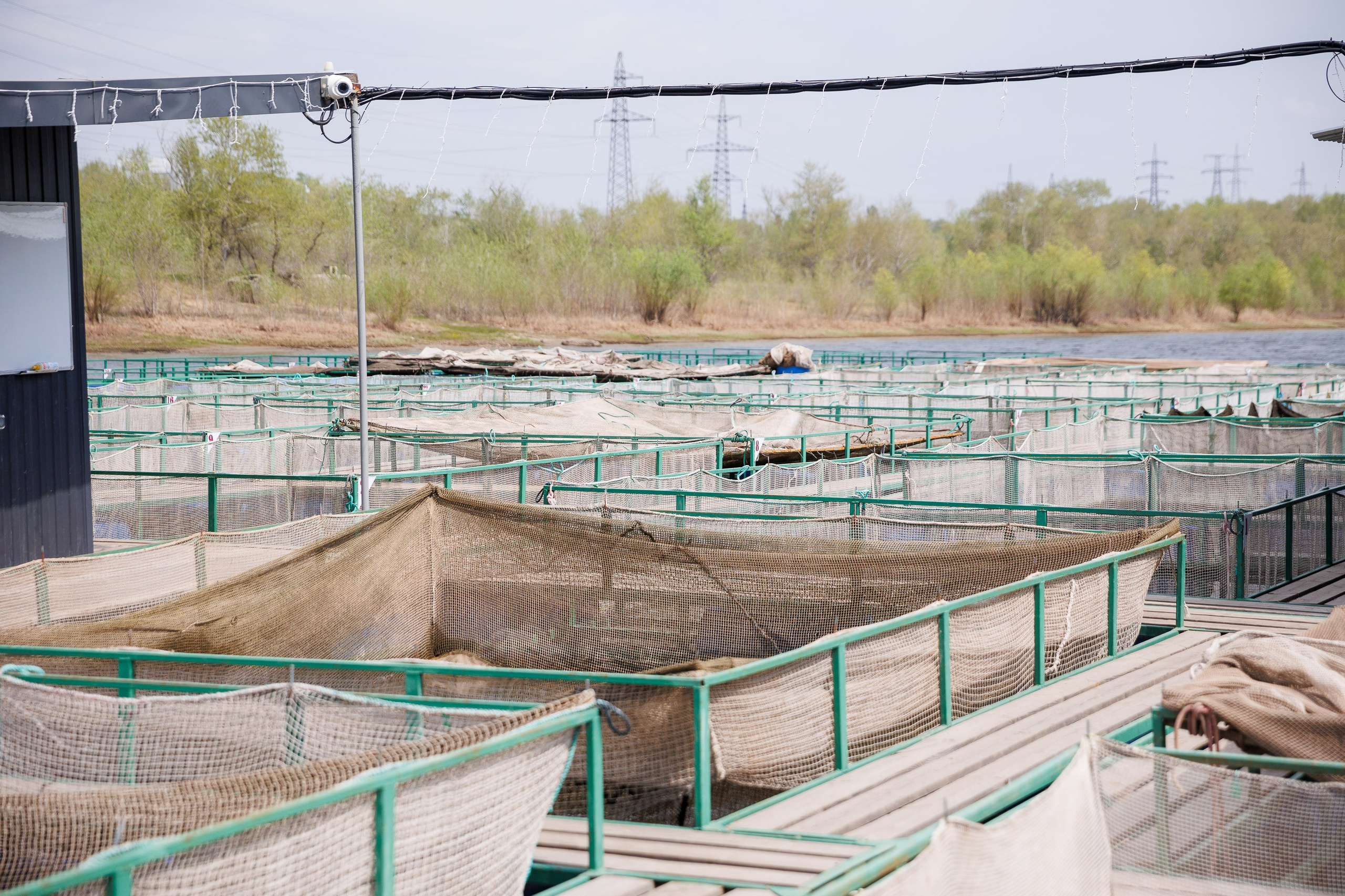 День 2. Конференция. Экскурсия на предприятия + галаужин. Фотограф Шейдаев Эмин г. Волгоград