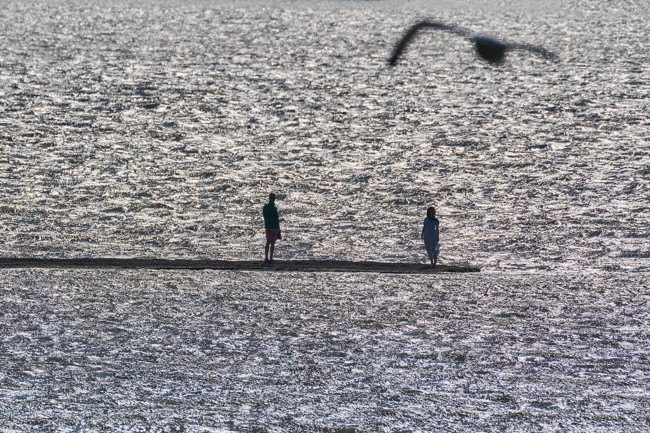 прогулка, пара, станица Благовещенская, коса, пляж, море, лиман, вода, вдвоем, любовь