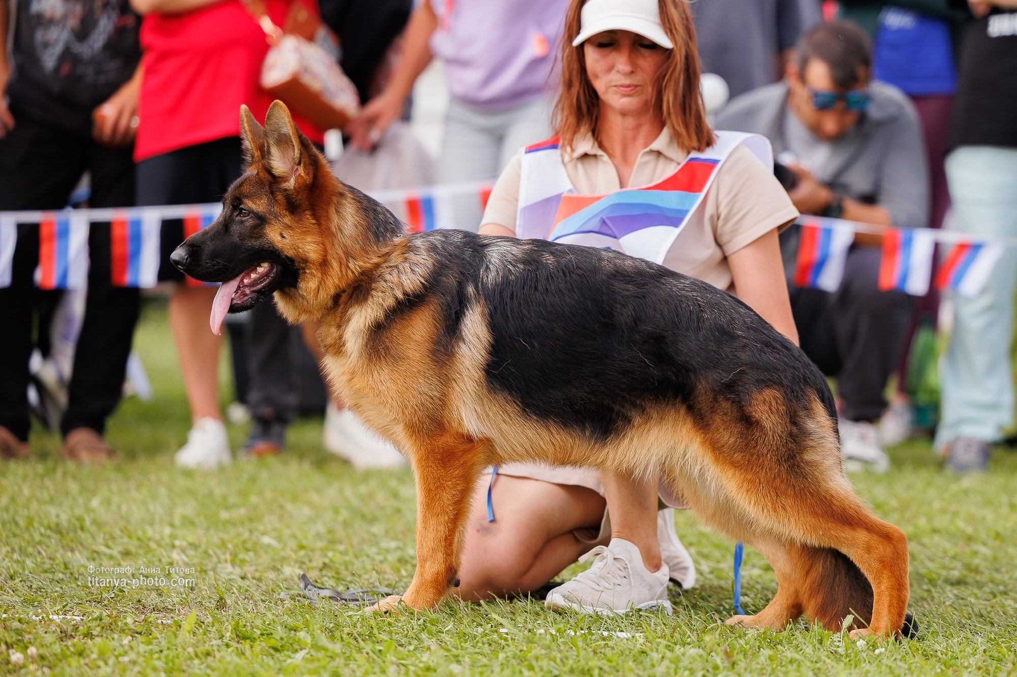 Немецкие овчарки: фото из рингов и вне ринга, мутпроба (фотографии с выставок). Фотограф собак, фотограф-анималист Аня Титова (Titanya). Москва