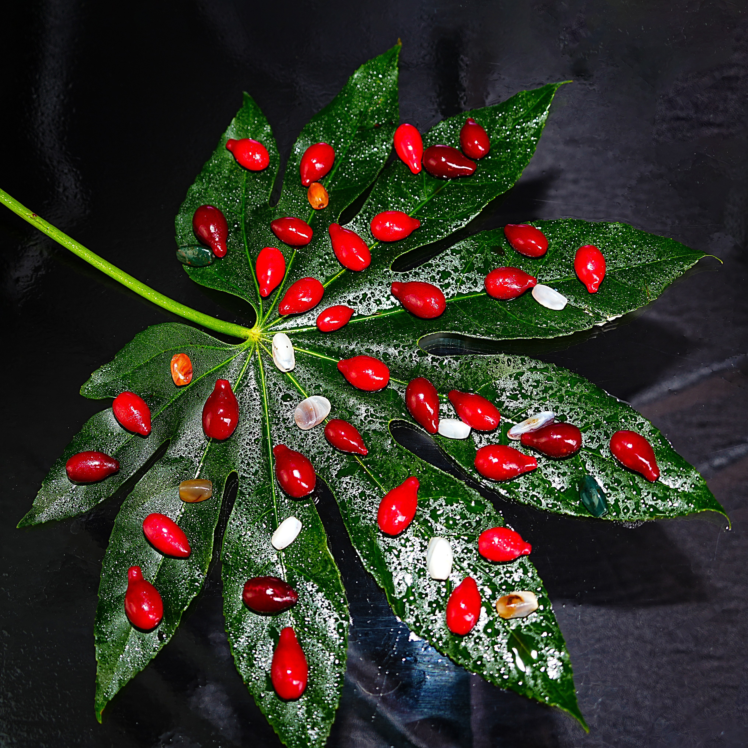 Предметная фотосъёмка. Фотограф, видеооператор Нина Коршунова