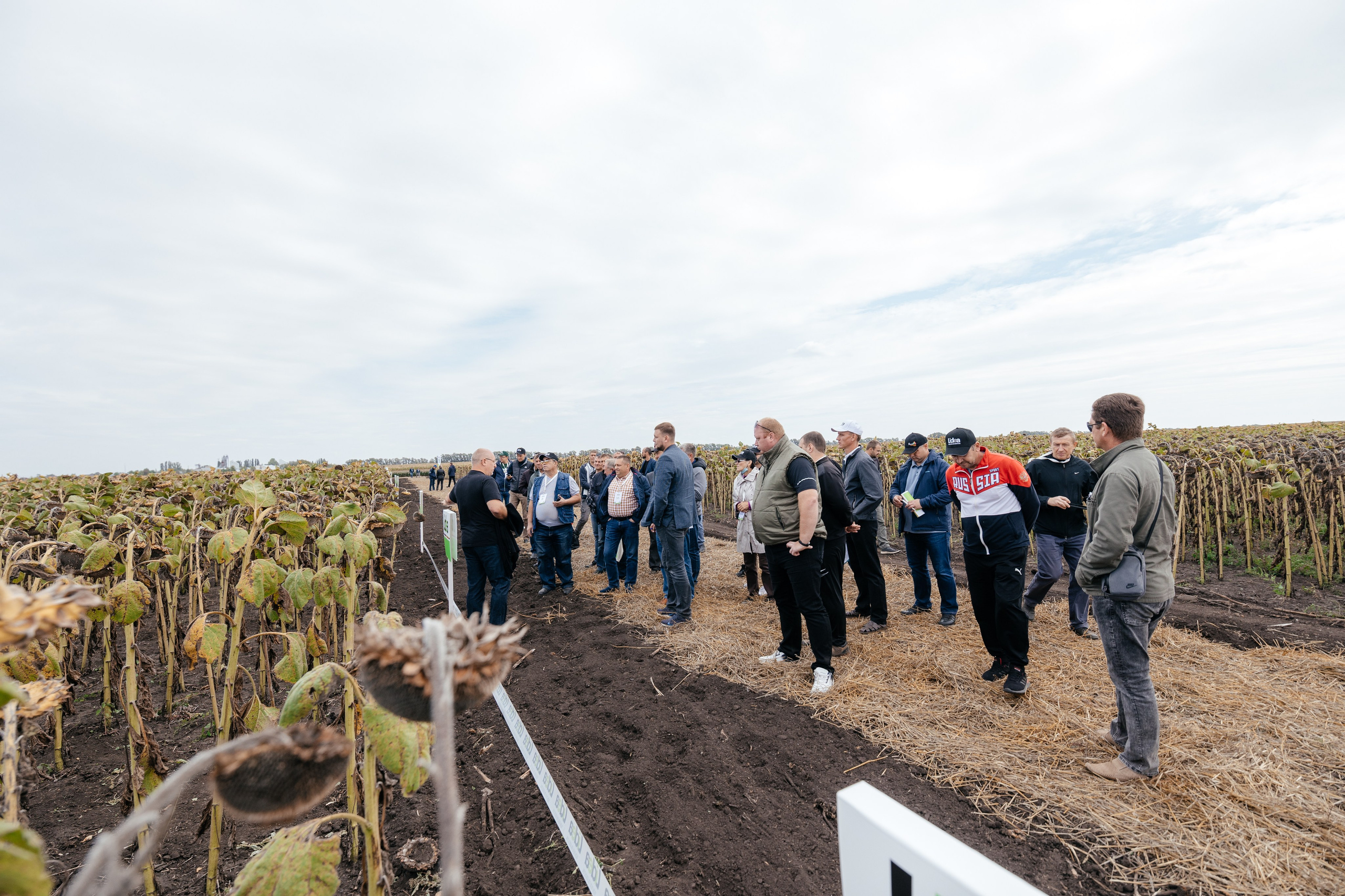 День поля. Фотограф Крохин Олег