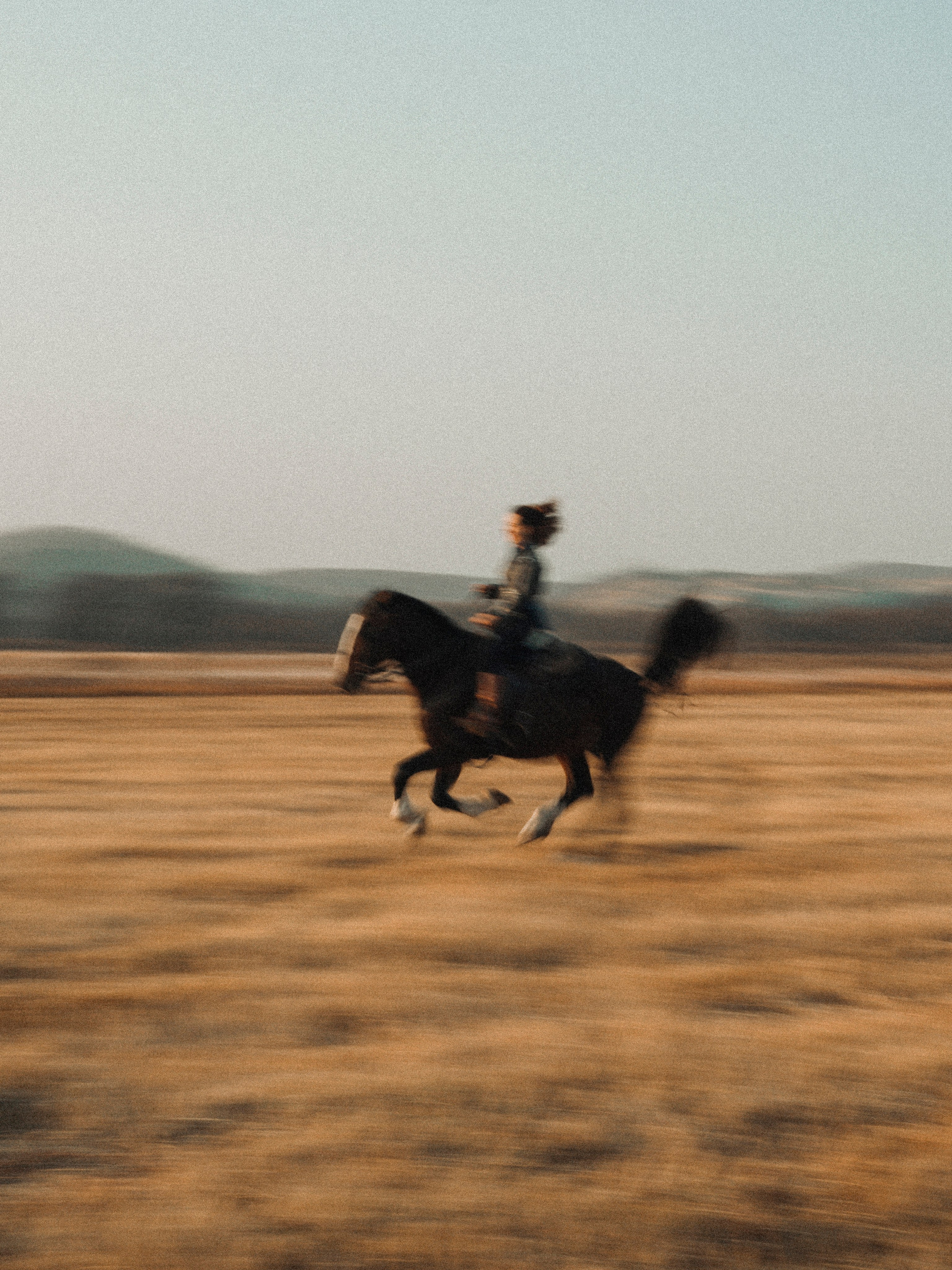 Галоп. Фотограф и видеограф в Благовещенске и Санкт-Петербурге Мурыгина Мария