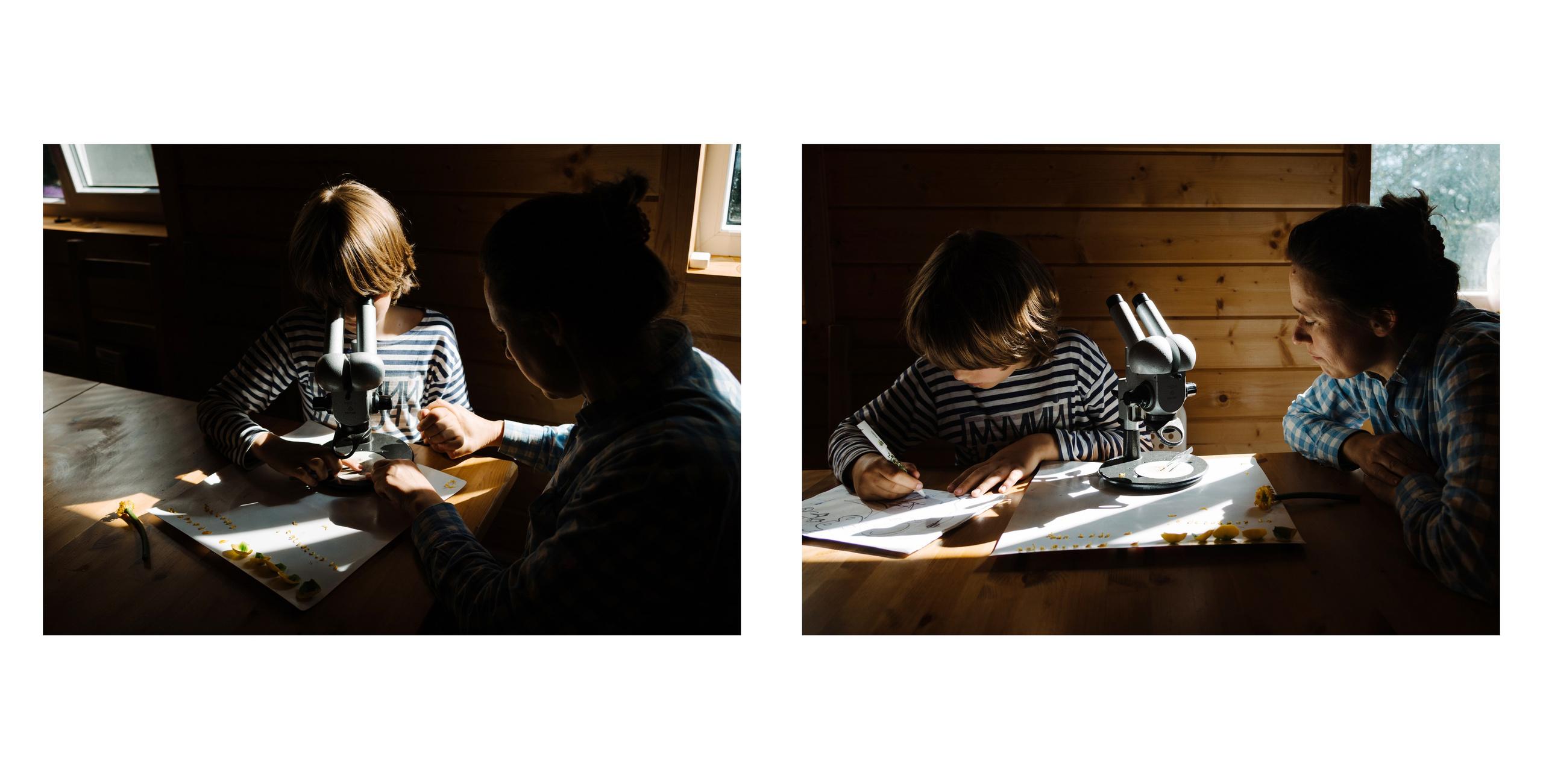 Белое море. Фотограф Алиса Калинина