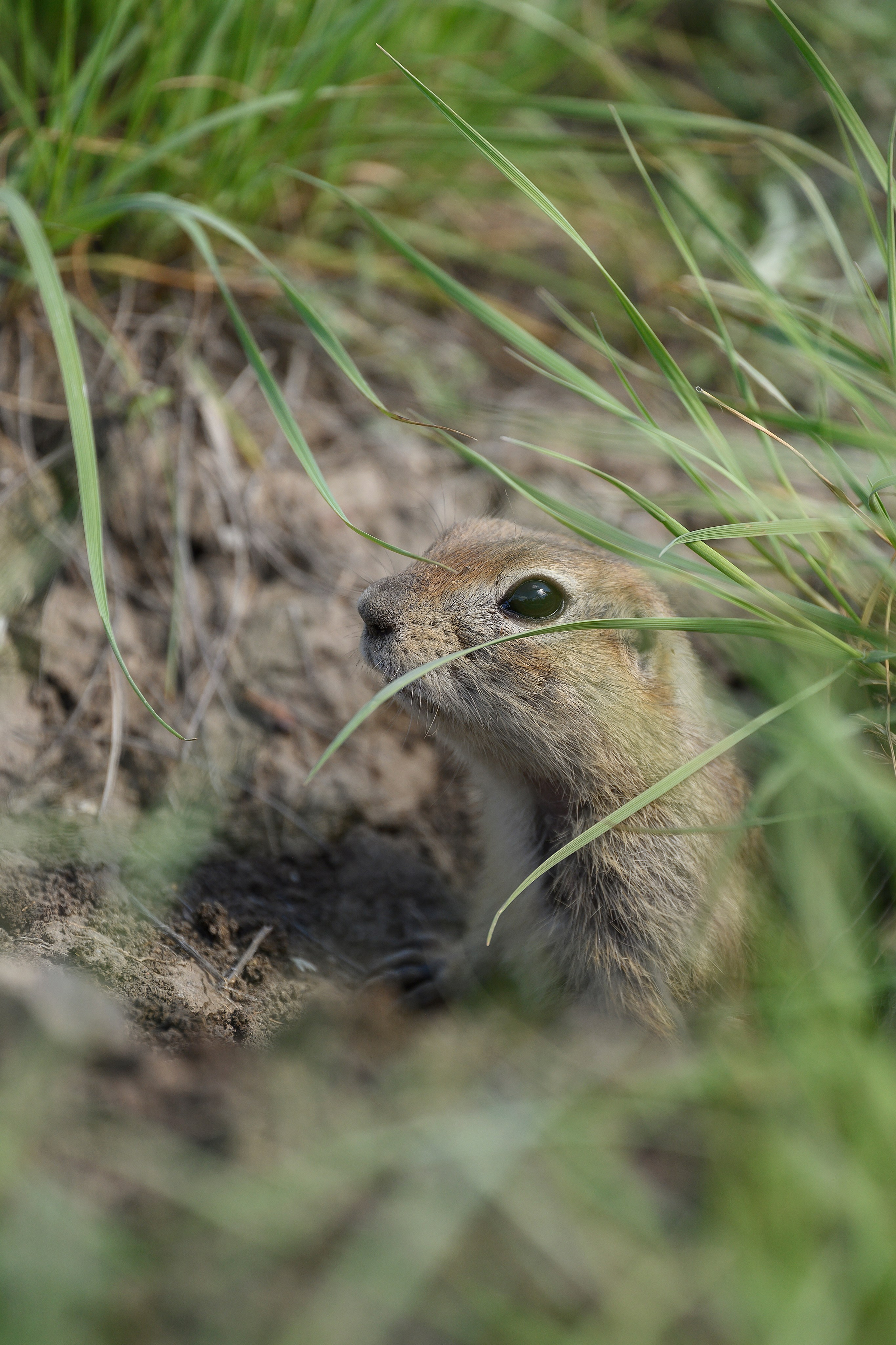 Оренбуржье. Портретный фотограф в Челябинске Катерина Руди