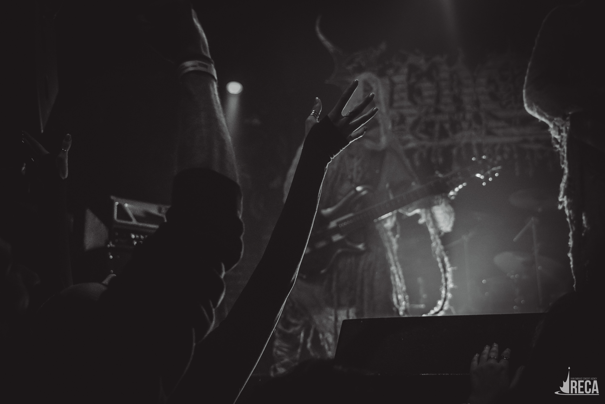 Vspolokh. Kate Vader|Live Music Photography