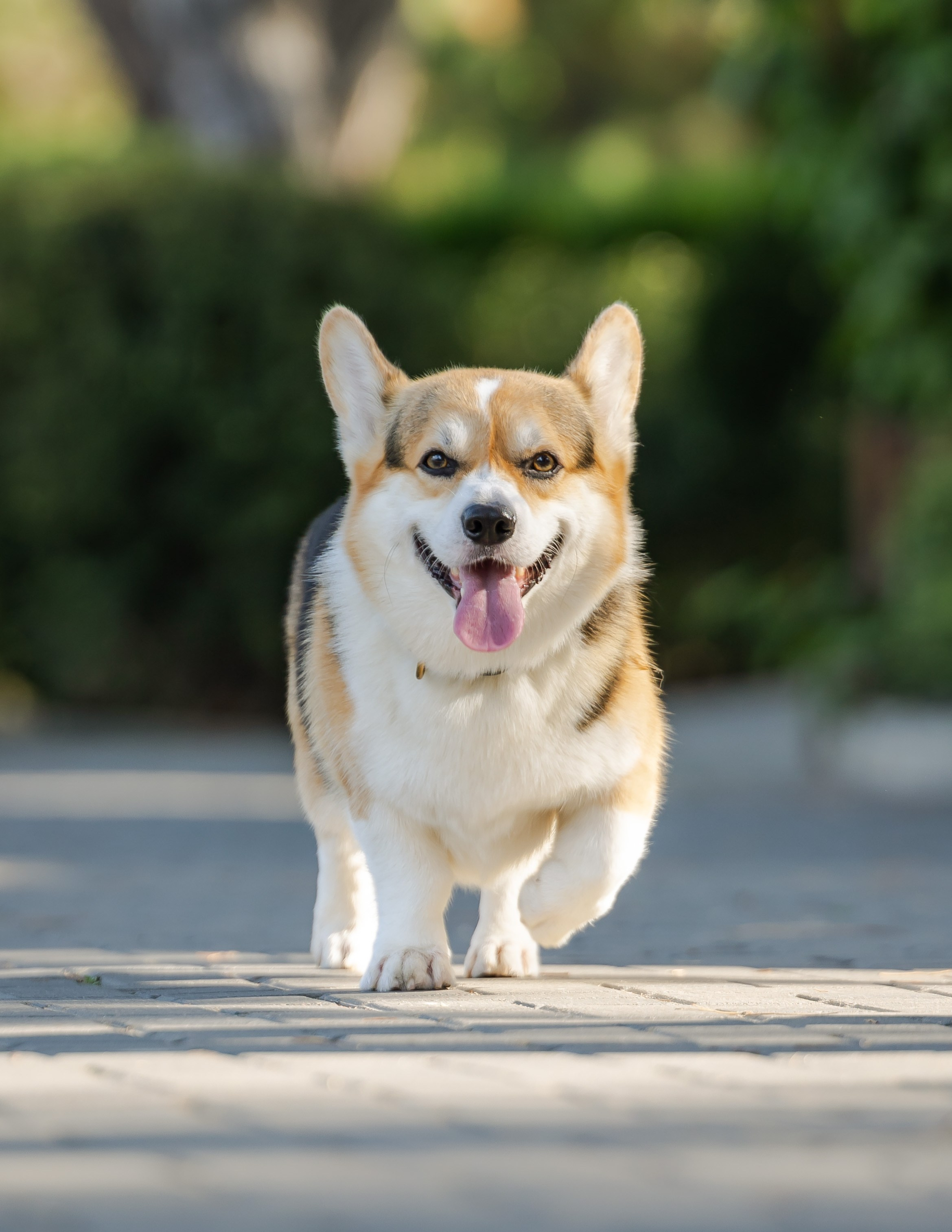 Анапа. Фотограф Владимир Охрименко