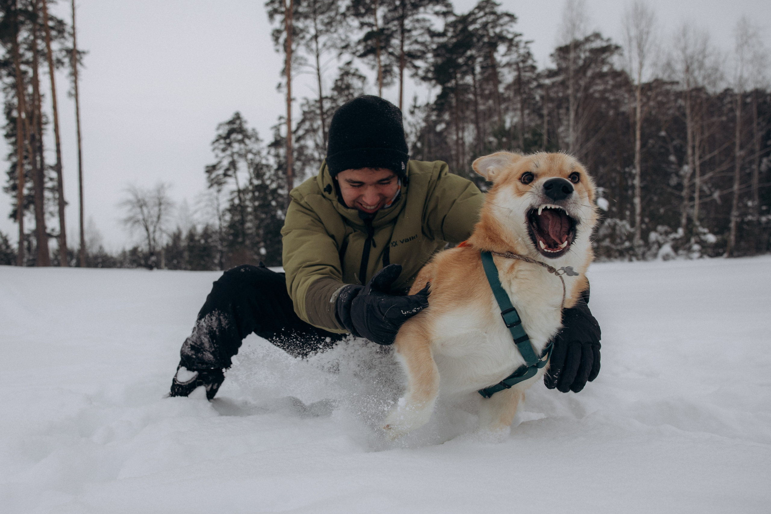 Прогулка на озере зимой. Фотограф анималист в Казани Алина Сулейманова. Фотограф животных