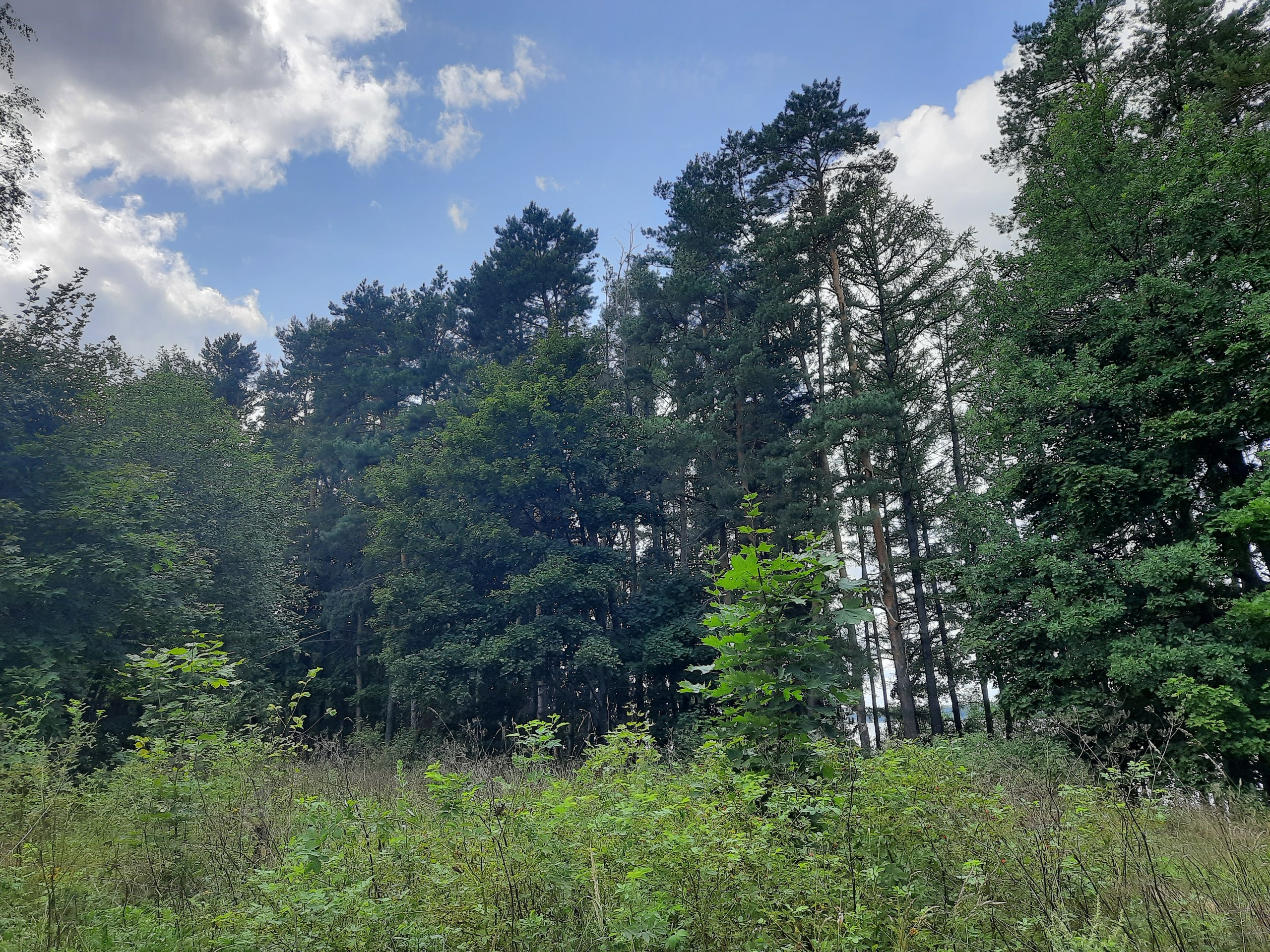 Походная Романтика 37. В Пятнице — петь! | 2021. Галерея Фантим