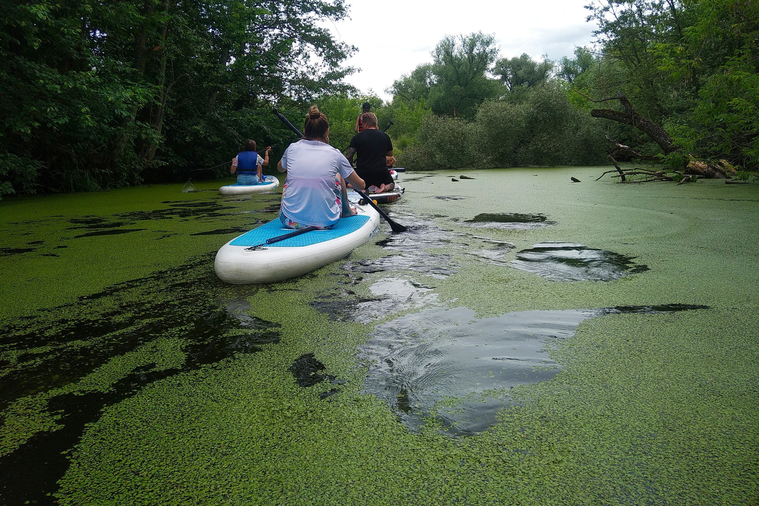 Сплав на сапах | 16.06.2024. Галерея Фантим
