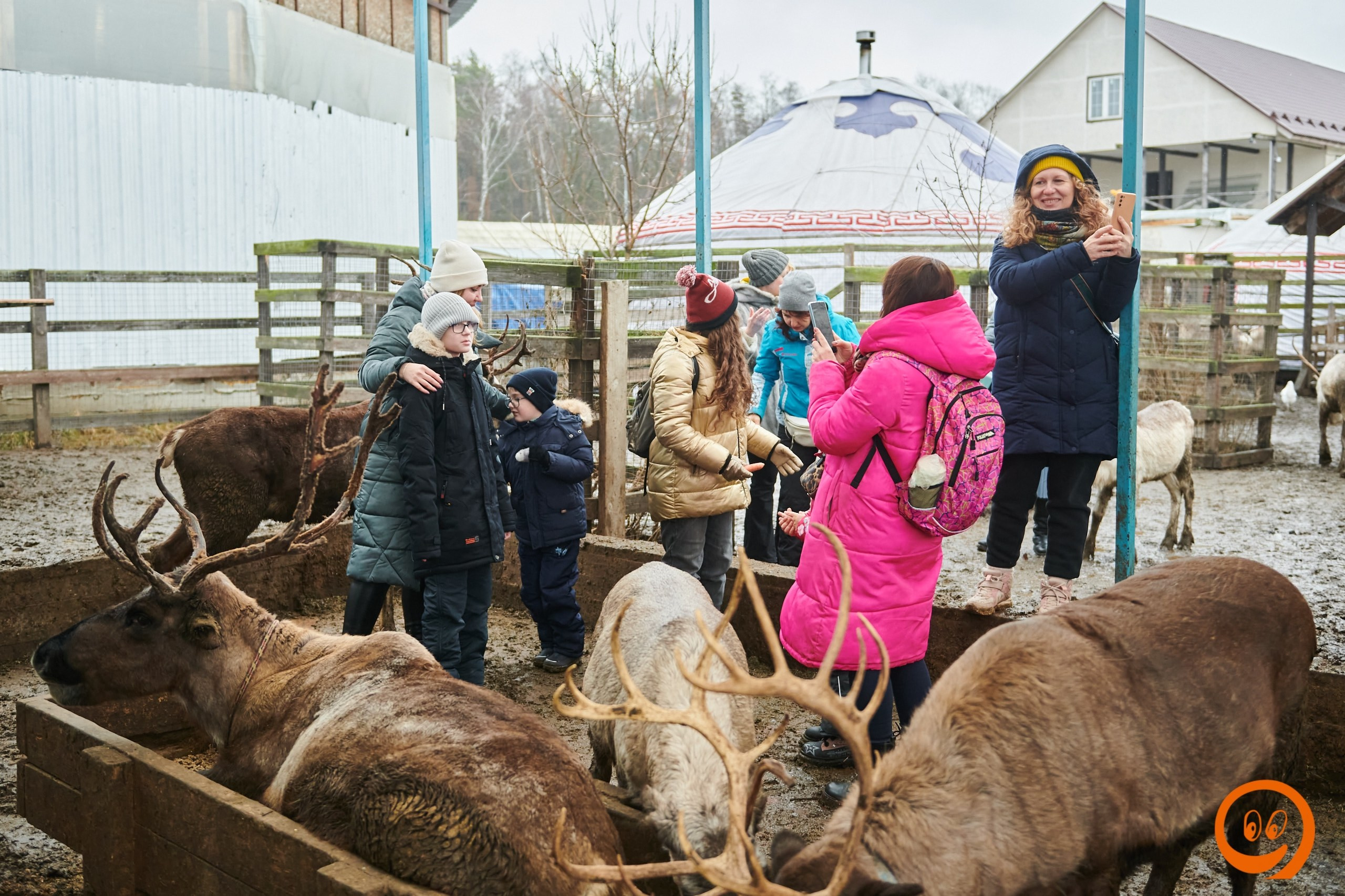 В гости к северным оленям | 18.01.2025. Галерея Фантим