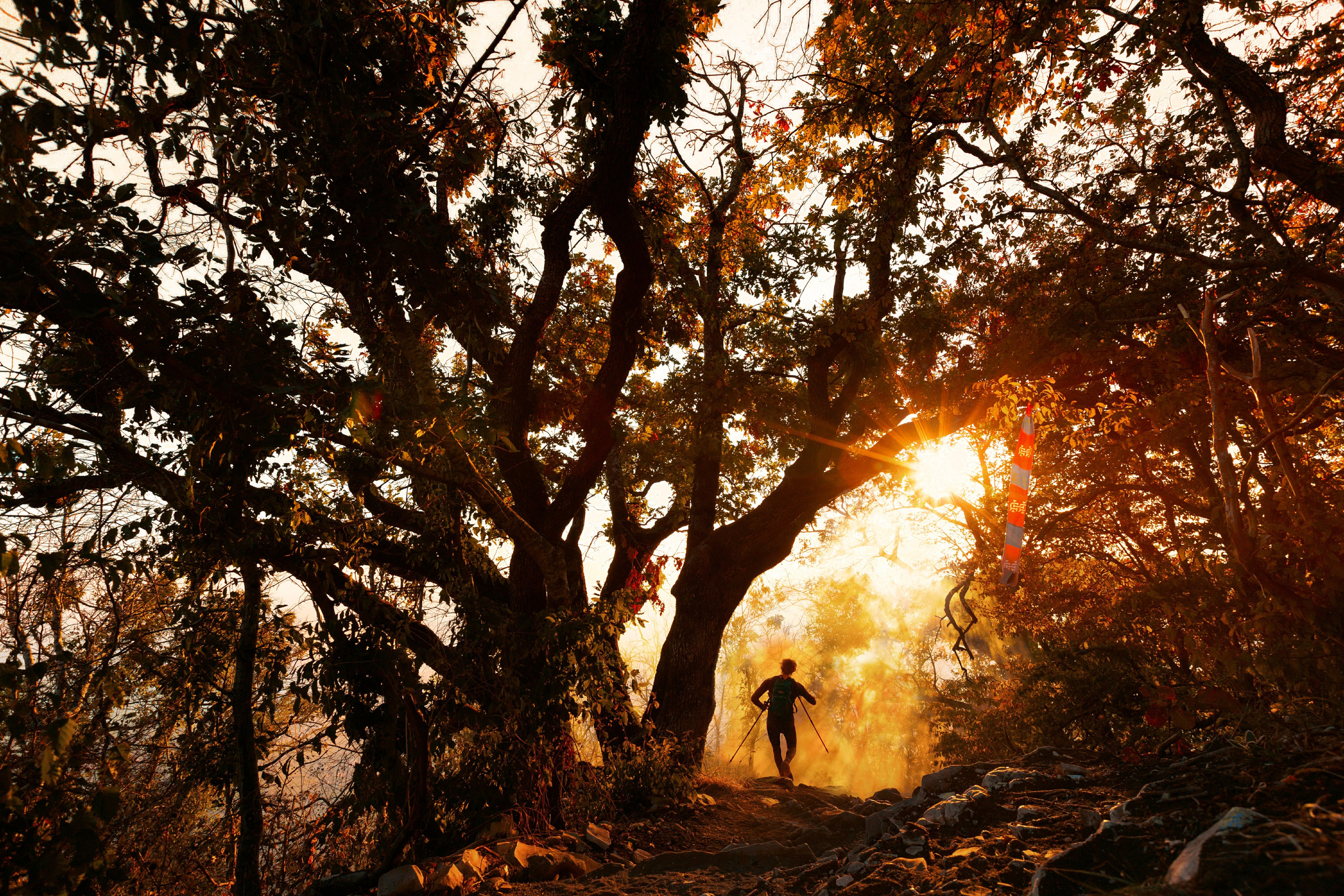 Трейлраннинг. Спортивный фотограф Тремпольцева Анна