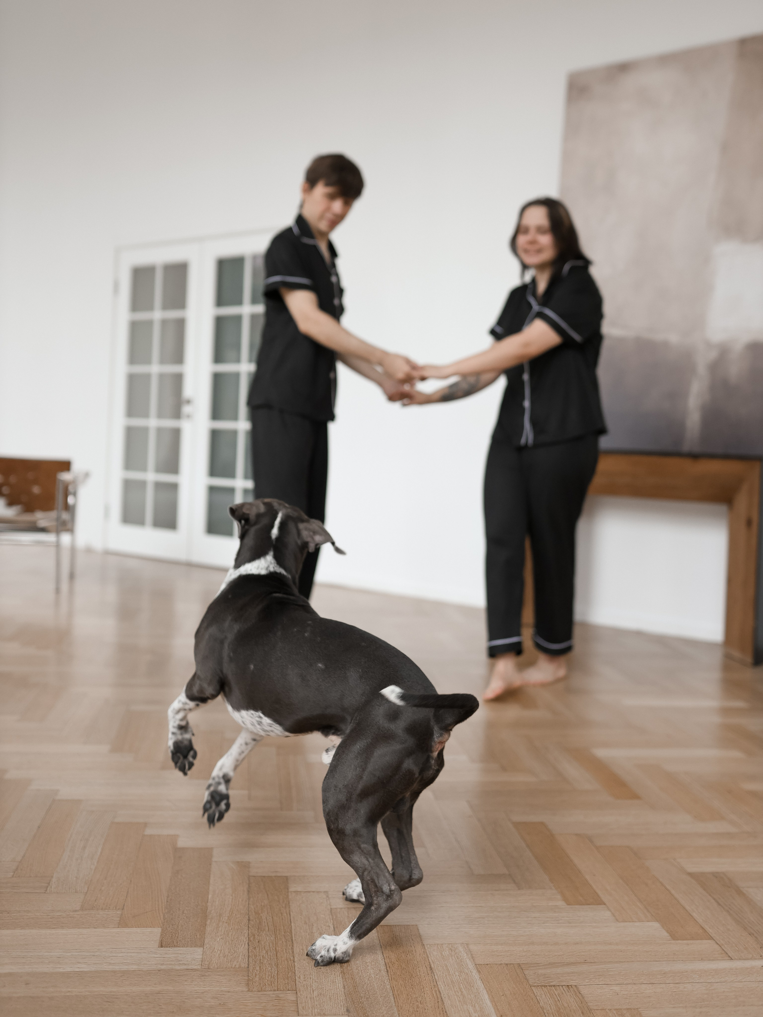 Тортик Даша и Никита. Фотограф-анималист в Москве Кириллова Татьяна