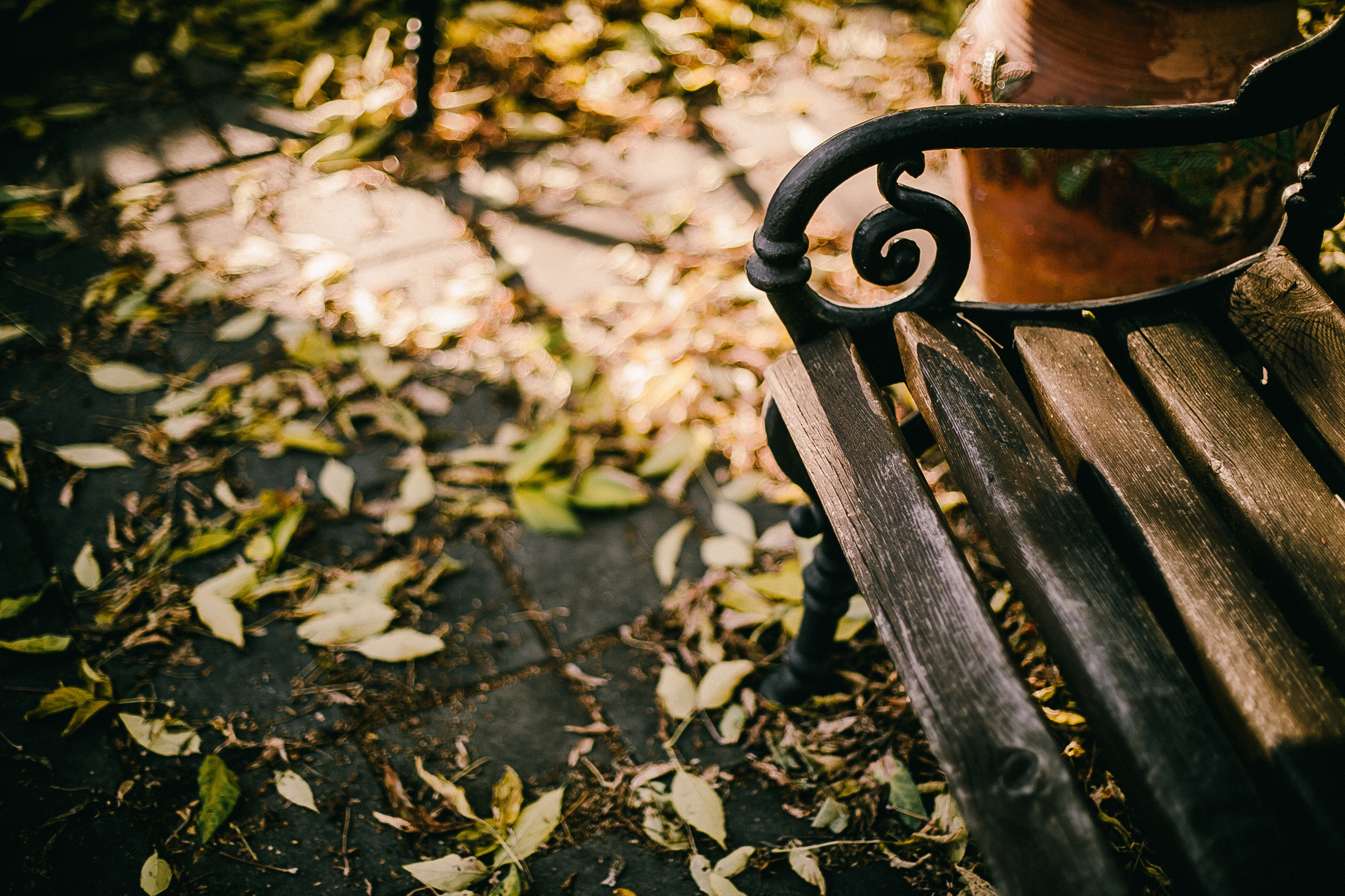 Катя. Фотограф Полина Егорова город Тюмень