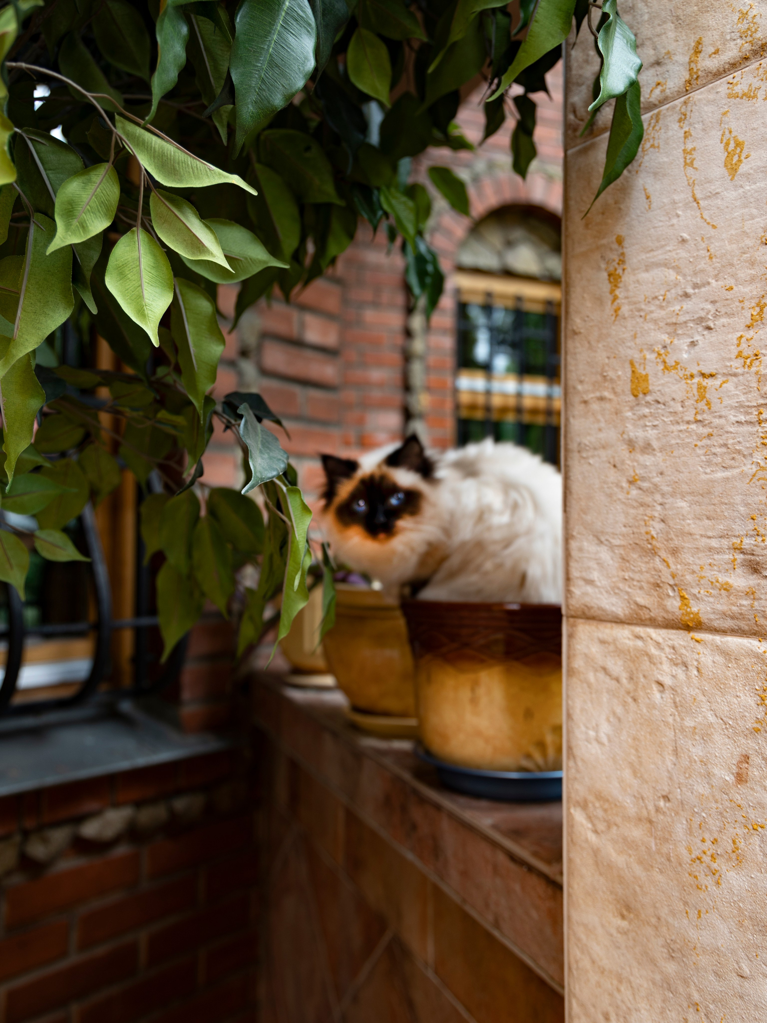 Фотограф Татьяна Марсуверских г. Жуковский, Москва и Мо. Репортажные съёмки, фотосессии,  фотограф анималист, фотосъёмка животных. Фотограф для маркетплейсов, фотоуслуги в Жуковском Татьяна Марсуверских