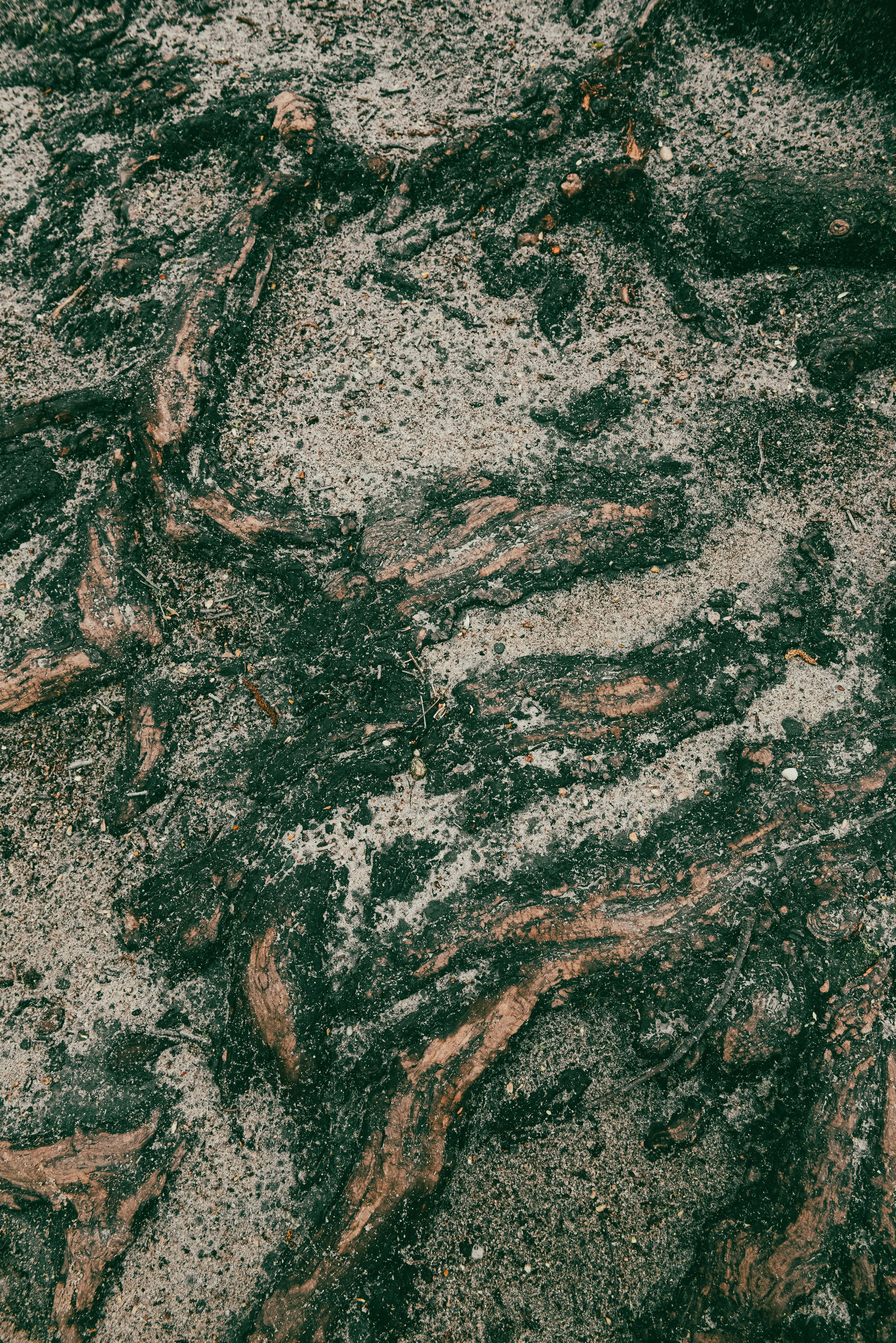 Текстуры апреля. Портретный и архитектурный фотограф в Москве и Санкт-Петербурге