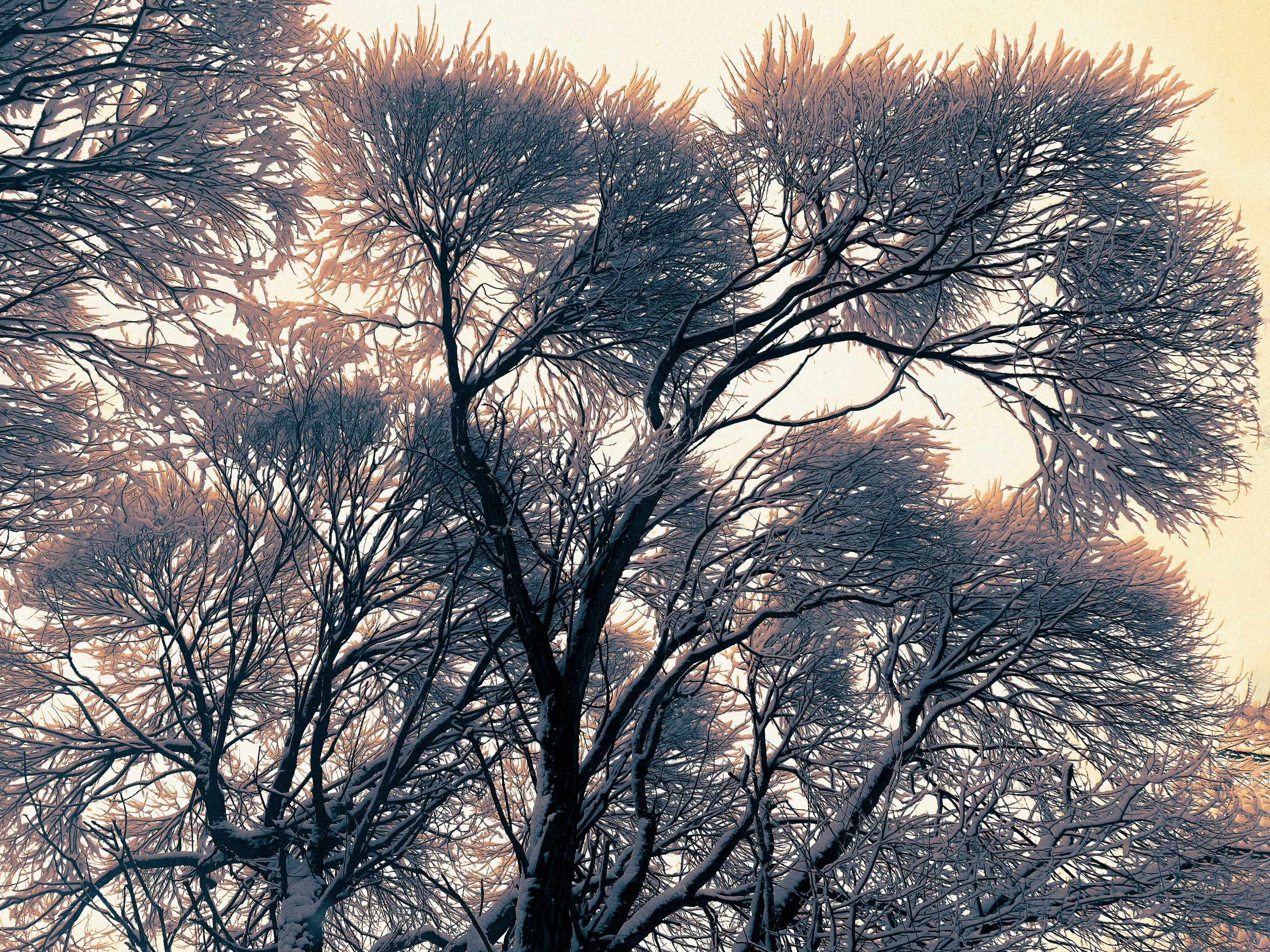 Работы вне серий — Сафонов Владислав. Сафонов Владислав, фотохудожник