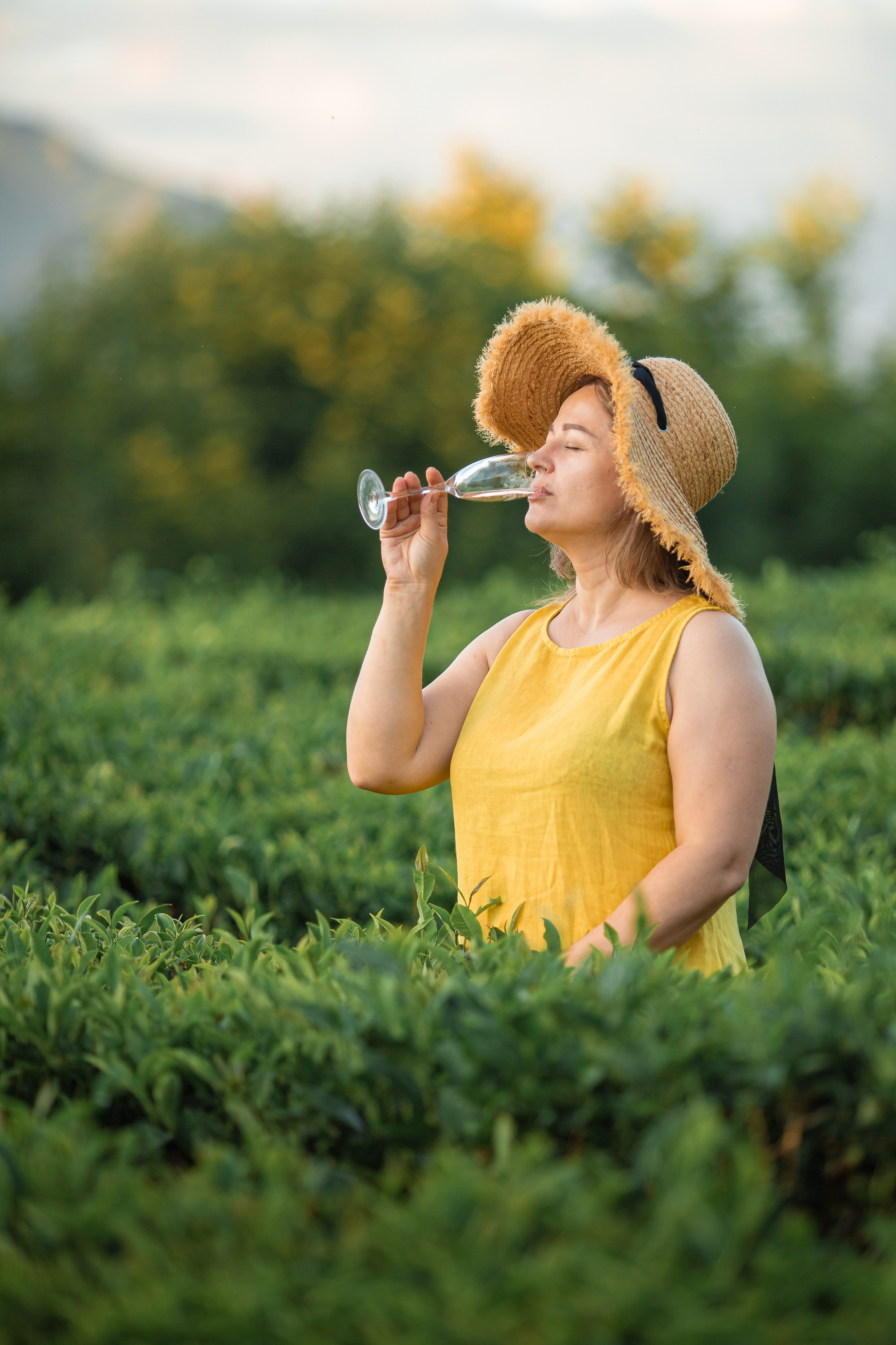 Чайная плантация. Сочи. Семейный и детский фотограф в Краснодарском крае Натали Фищенко