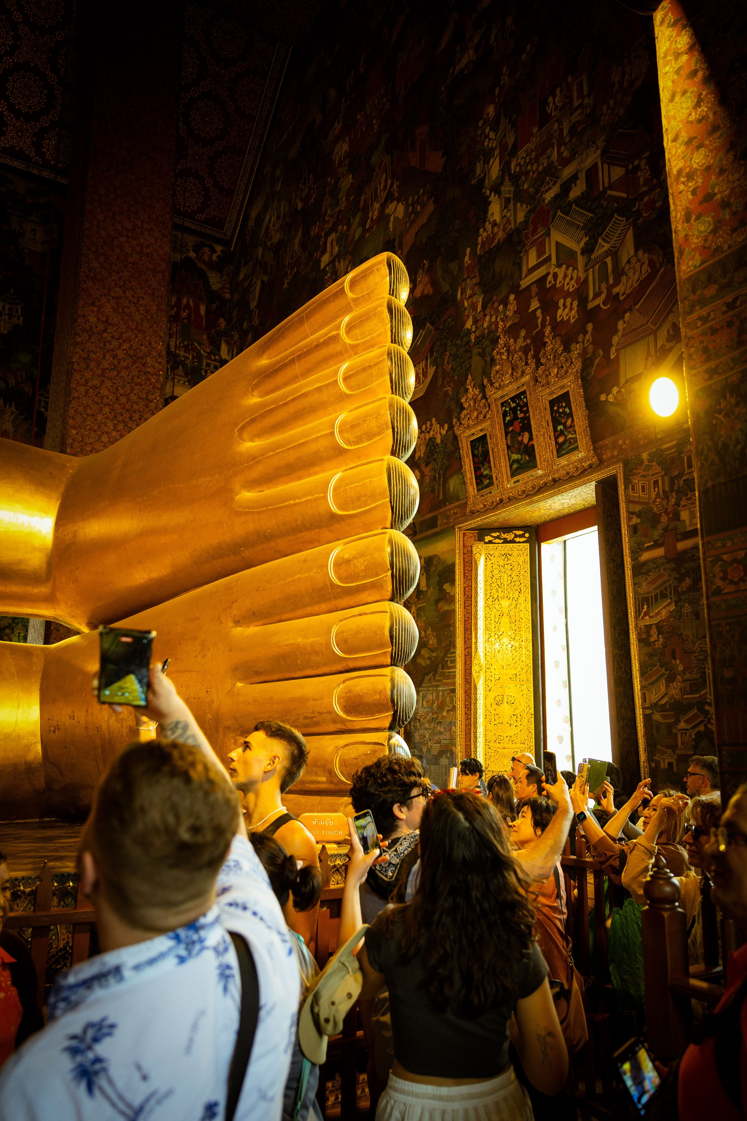 Таиланд (зима 2025). Фотограф Виноградов Константин