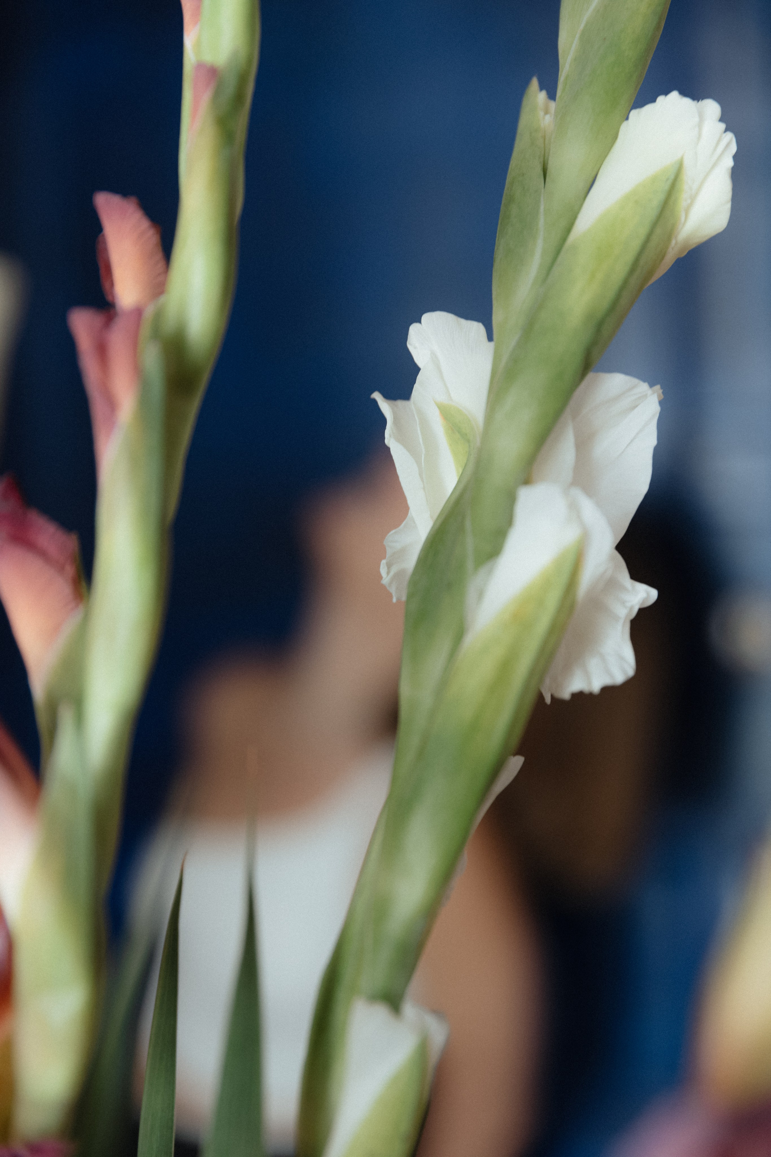 Портреты. Фотограф и коллажист Ольга Шереметьева