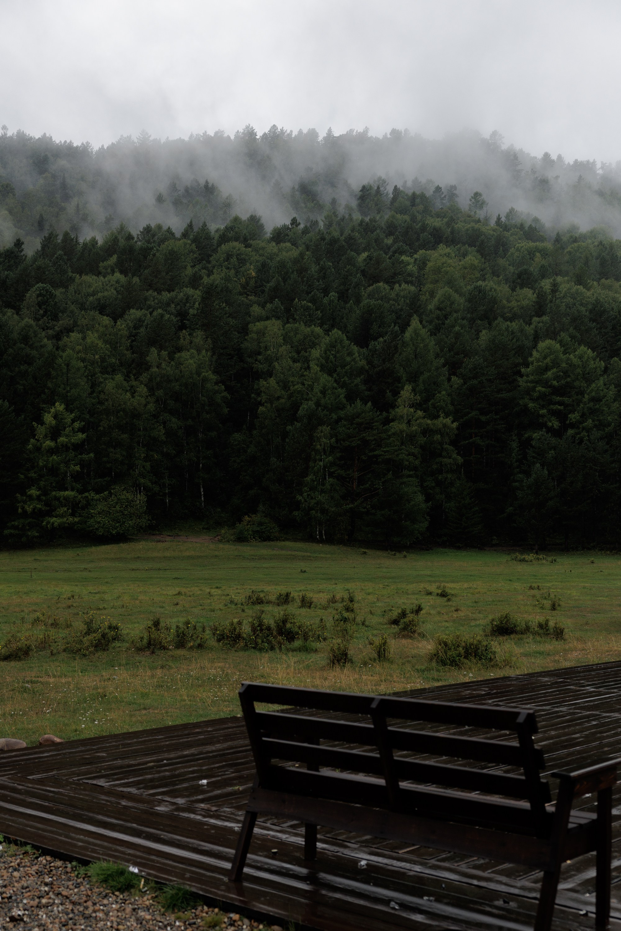 Захар и Виктория. Свадебный фотограф