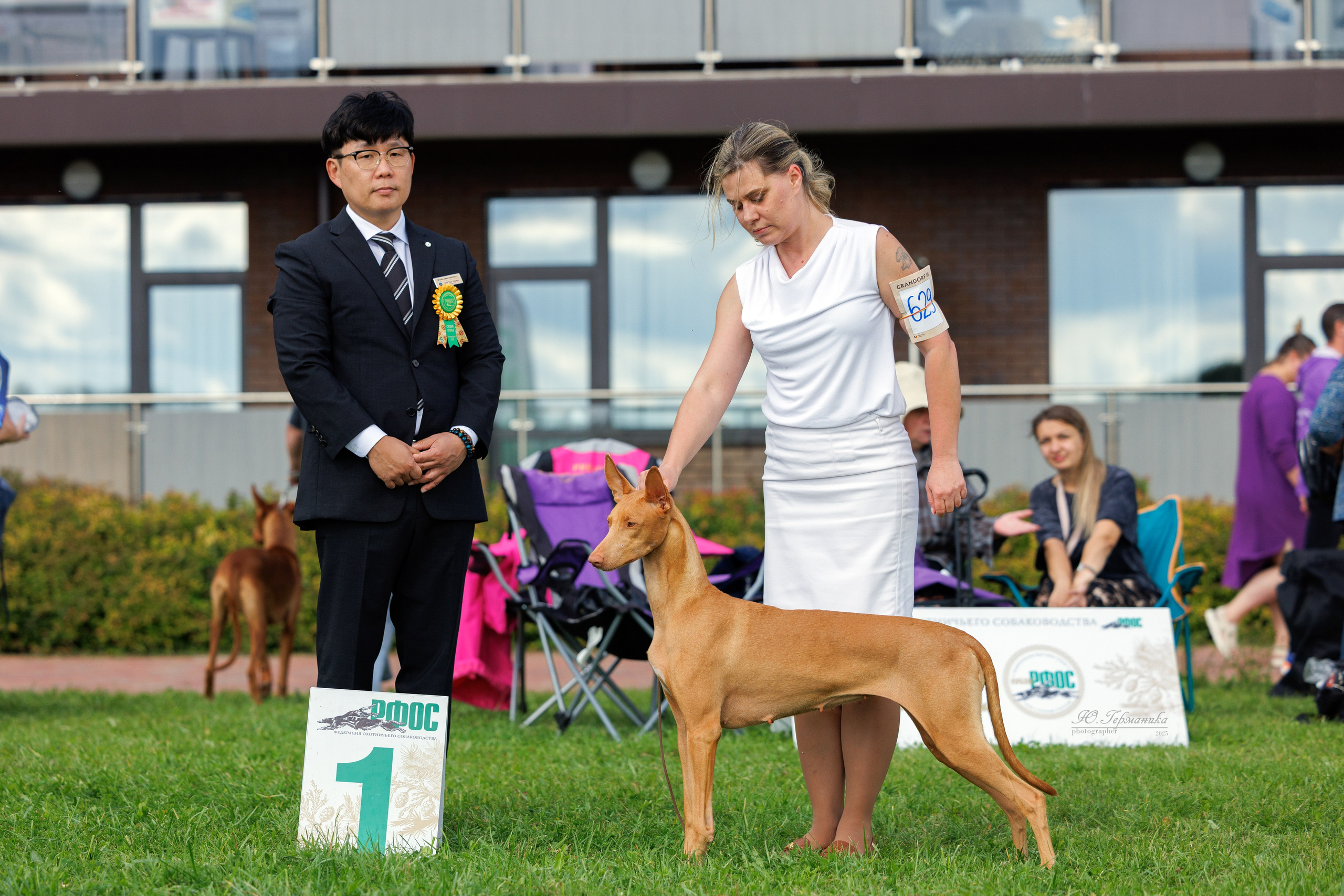 Переславль 5-7.08.2025. Фотограф-анималист Юлия Германика
