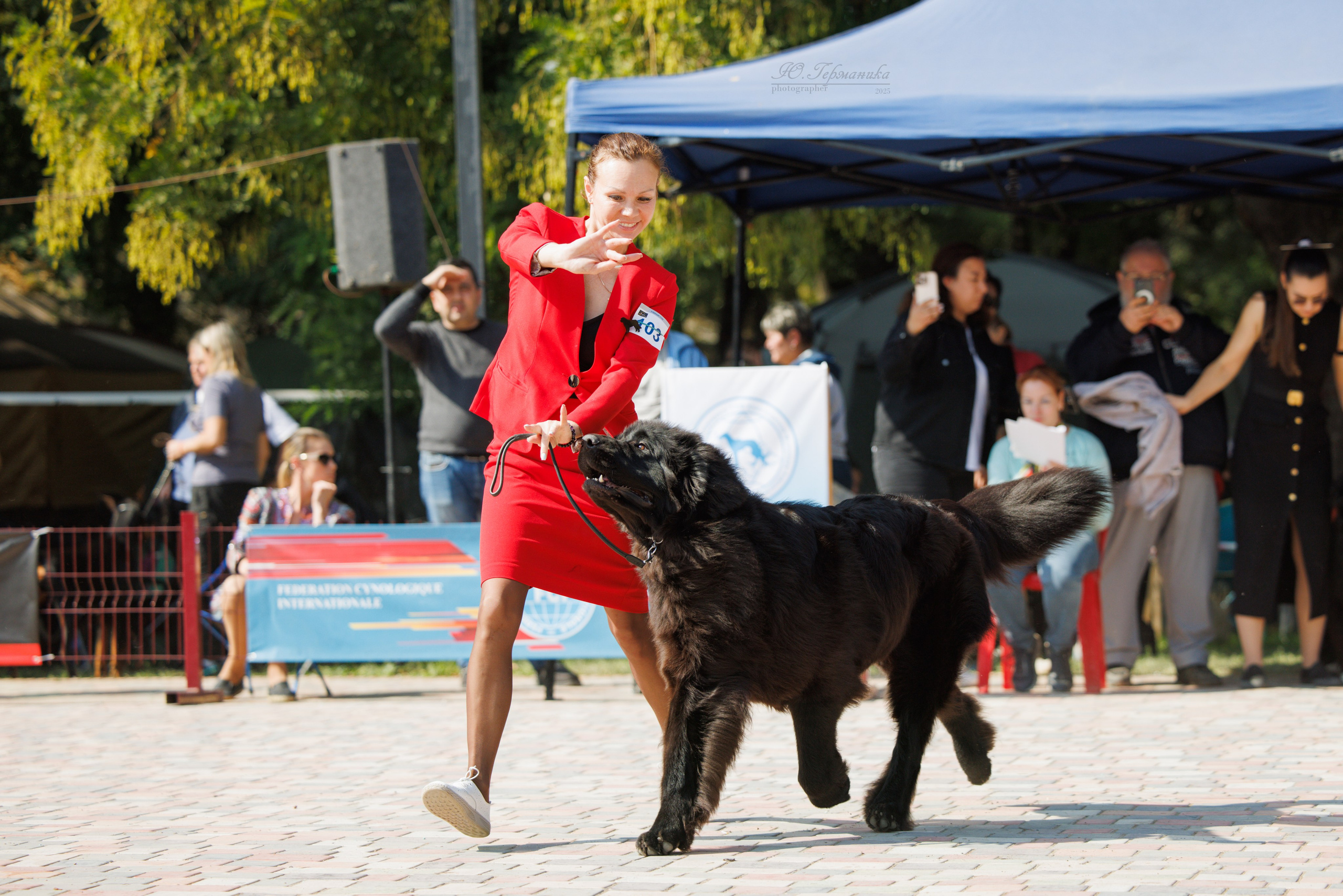 Ташкент 3хCACIB 3-5.10.2025. Фотограф-анималист Юлия Германика